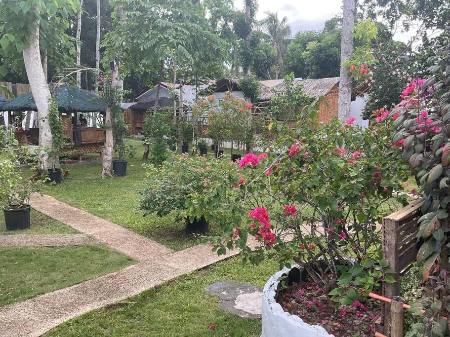 Studio A (M&K’s Guest House) view 3