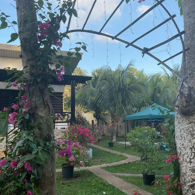 Studio A (M&K’s Guest House) view 4