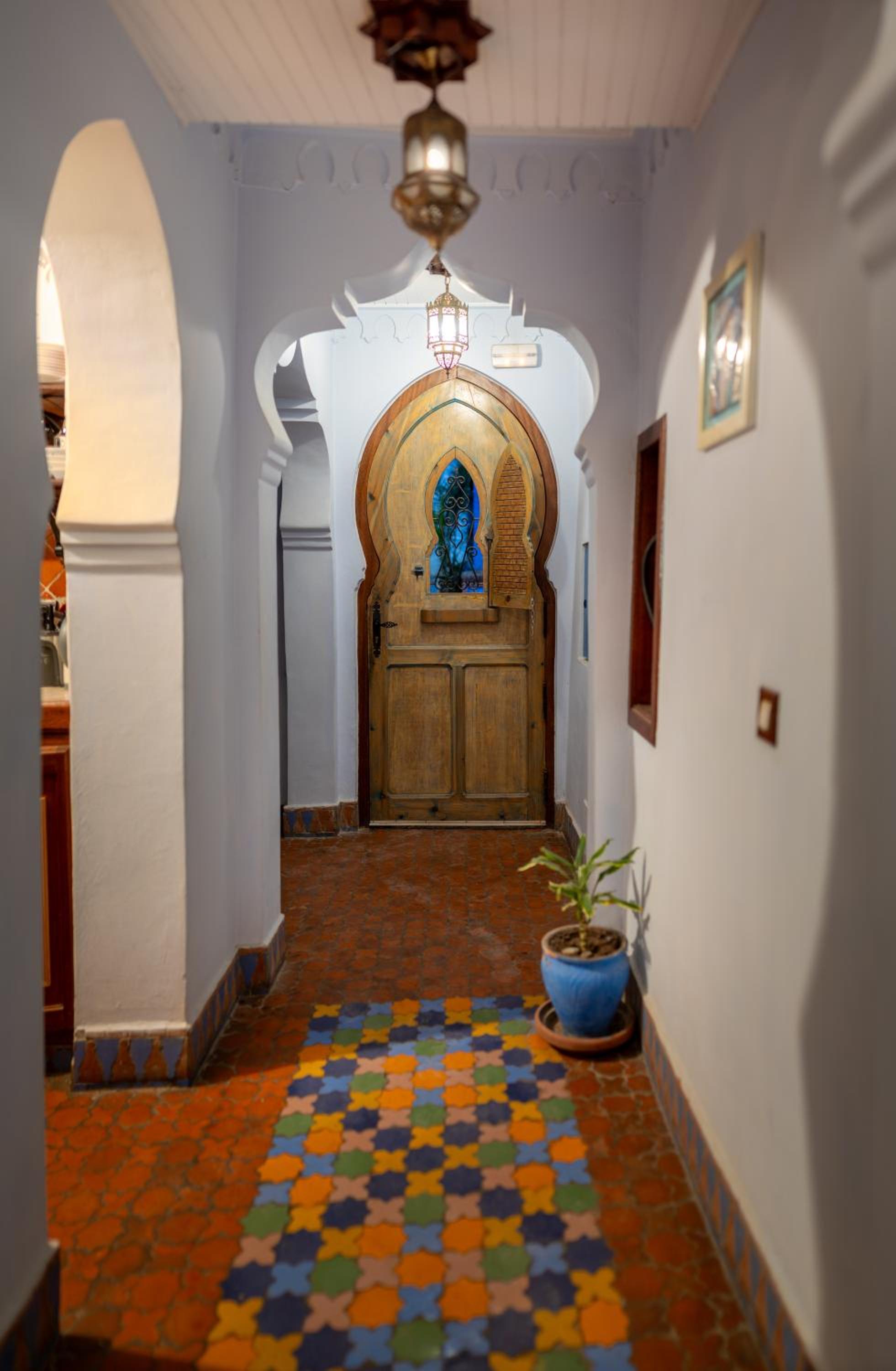 Casa Sabila - Image 5