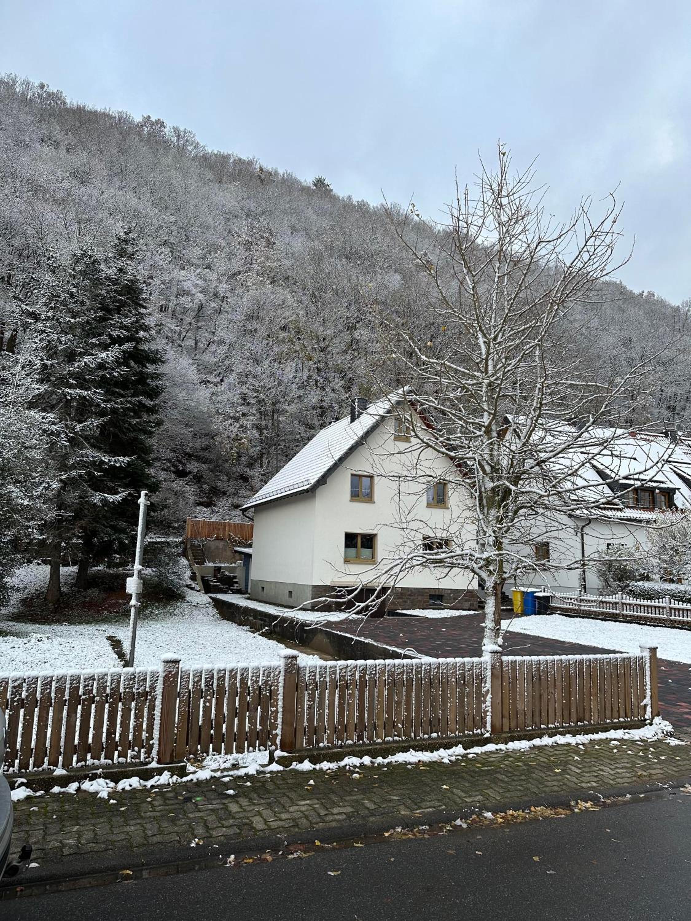 Ferienhaus Ginkgo Biloba
