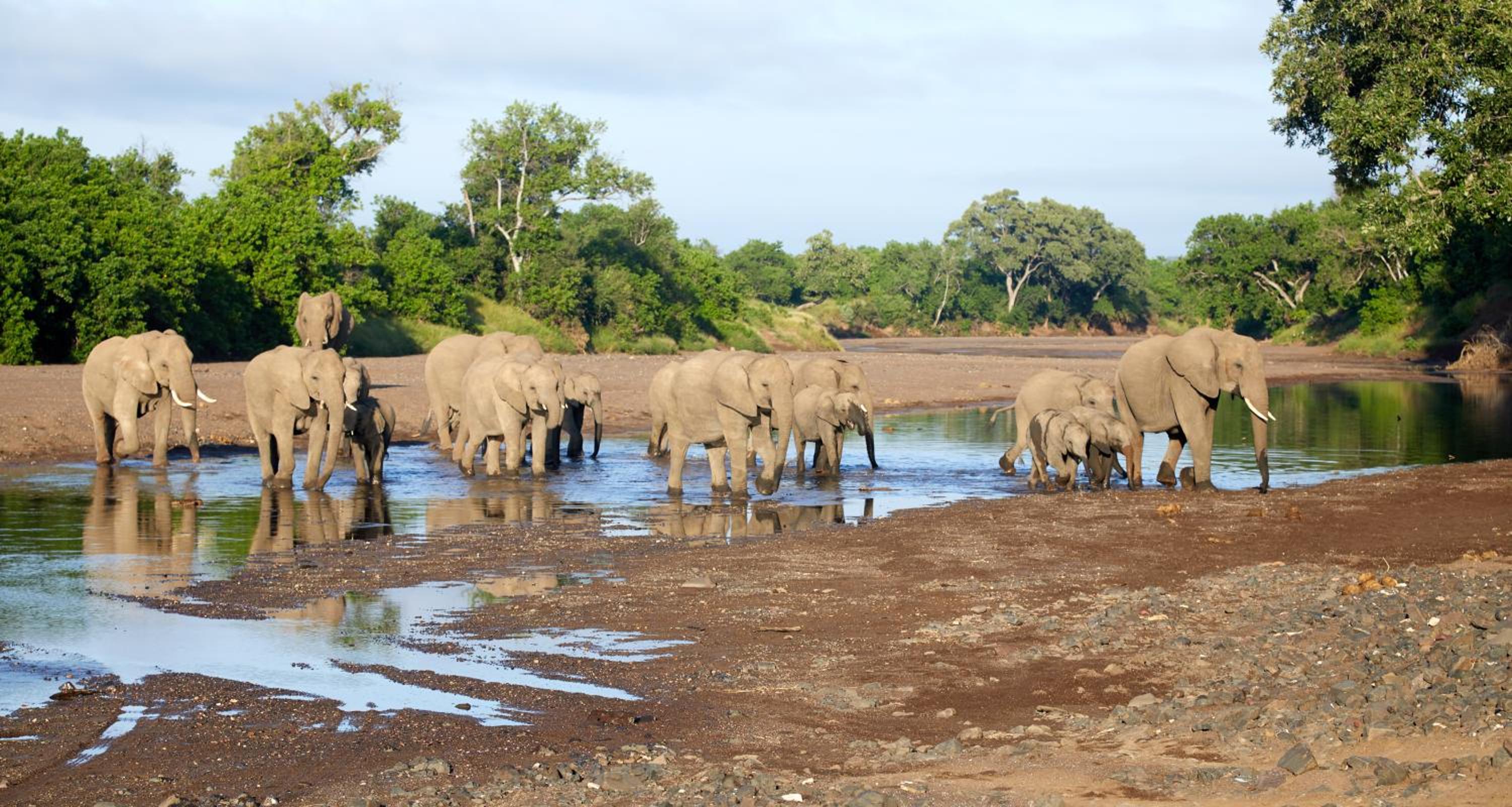 Shalimpo Safari Home - Mashatu Game Reserve