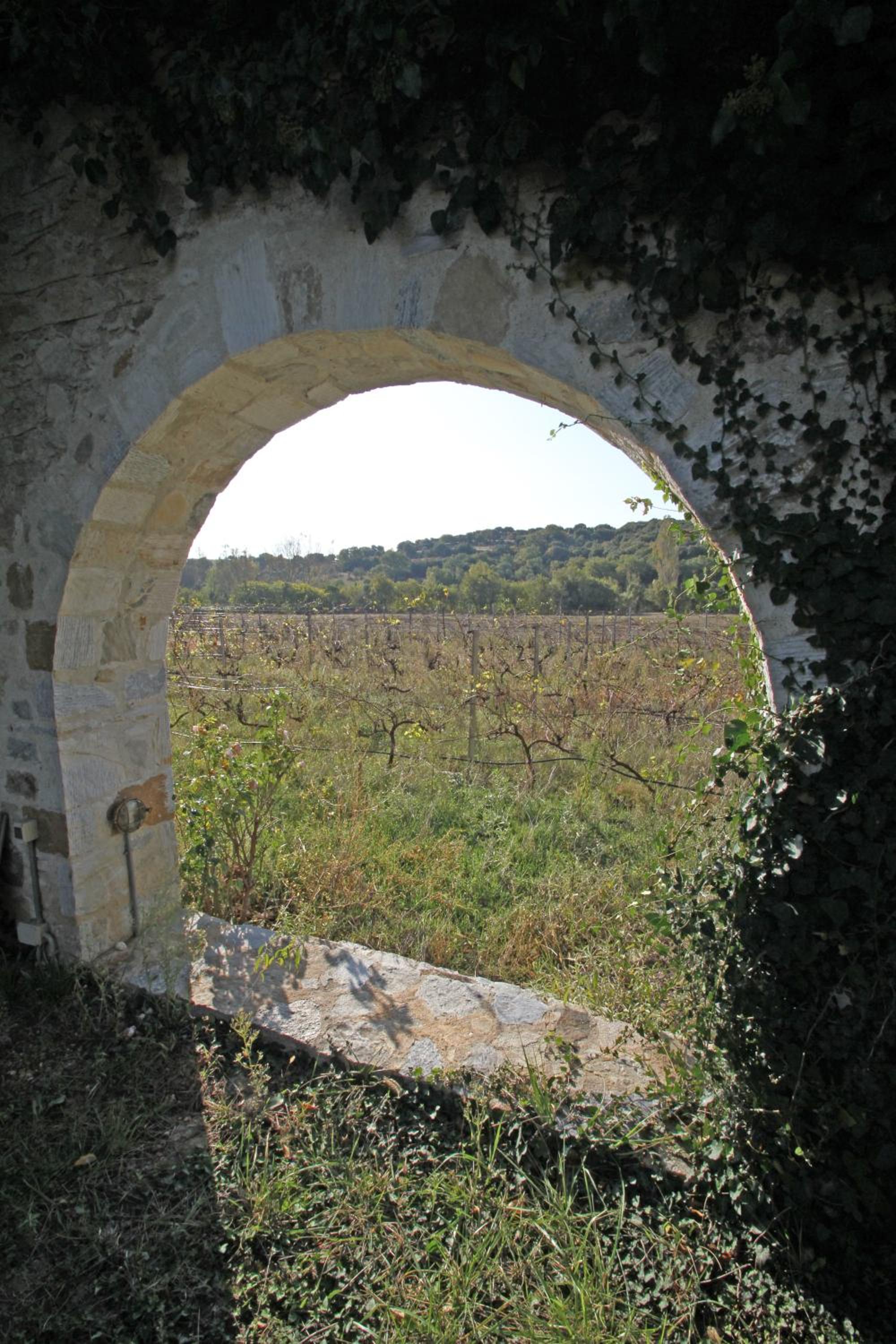 Kokkymelon view 5