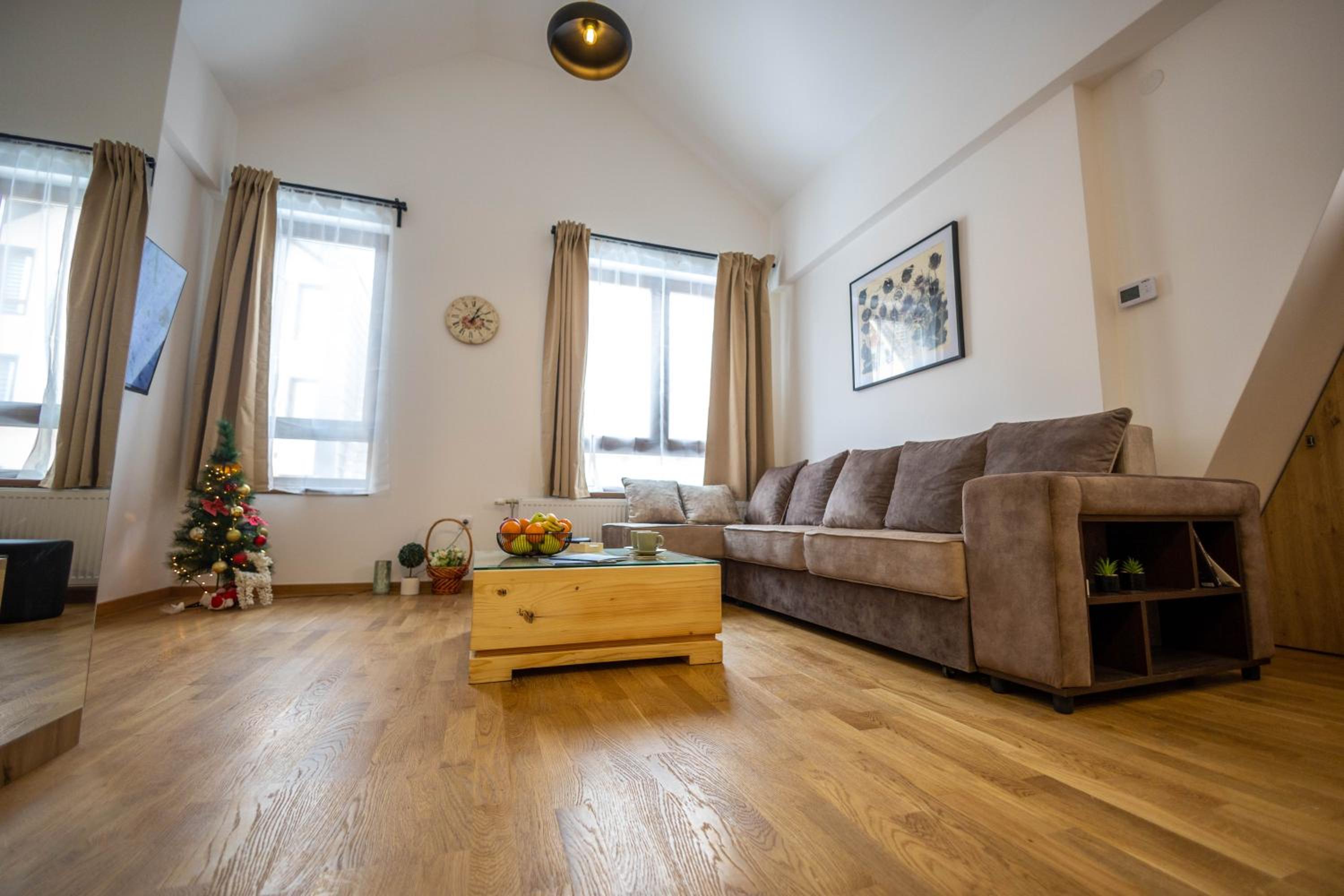 Apartmani RAZVIGORA - DivčiNova view 4