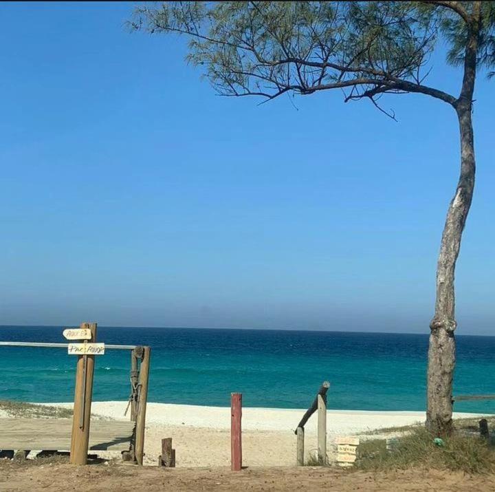 Casa de Praia Seca