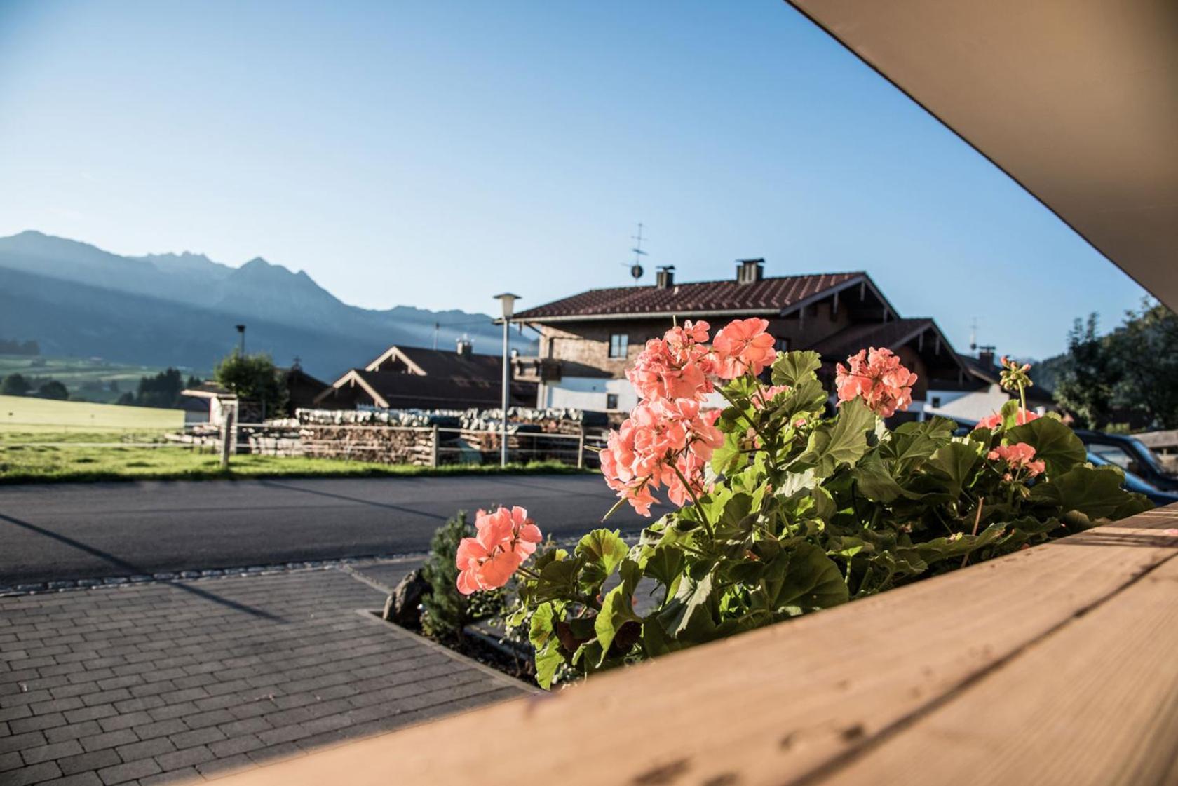 Alpenhaus Steiner - Top-Ferienwohnungen - Sommer-Bergbahn inklusive