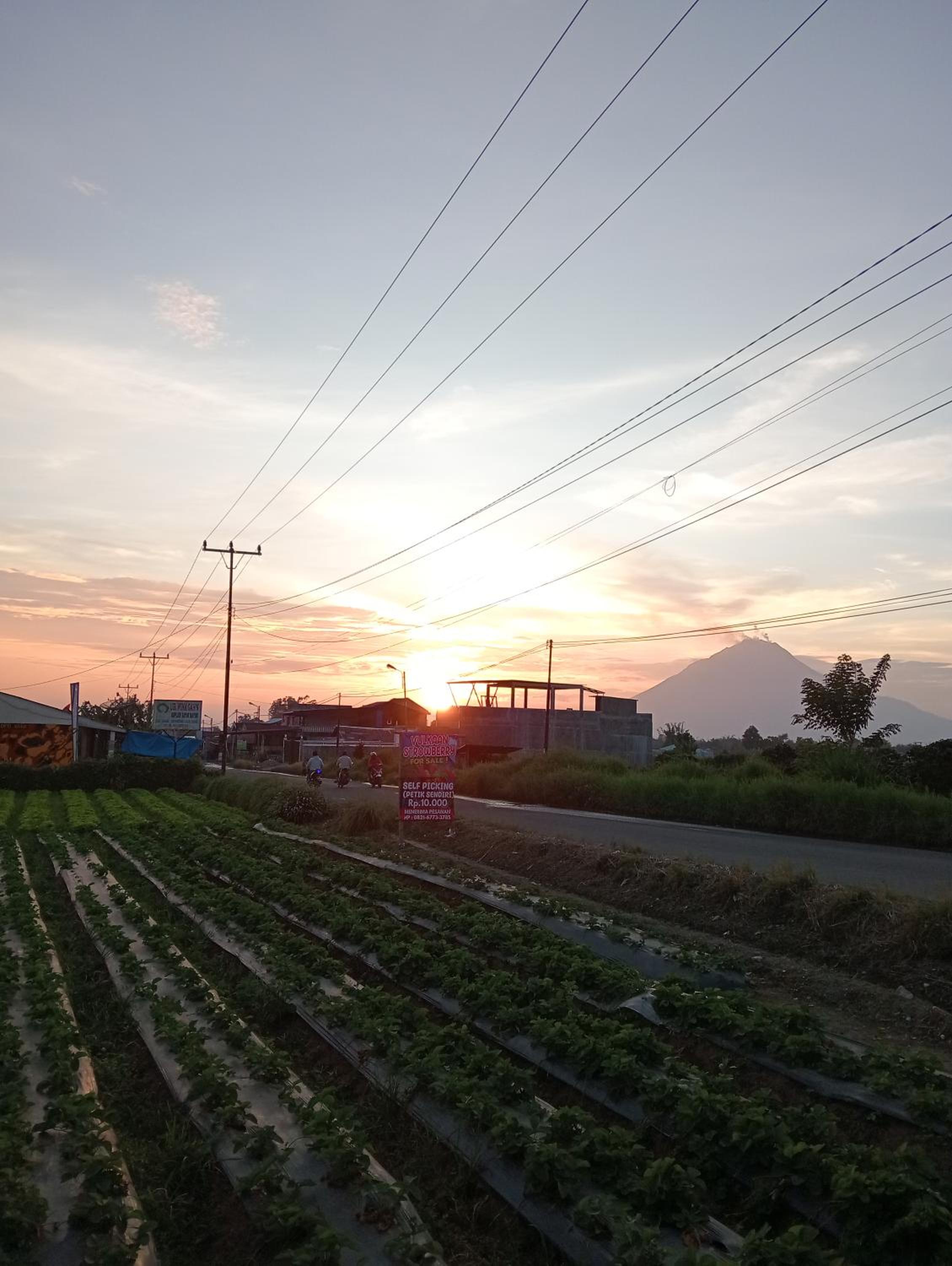 Vulkaan Homestay
