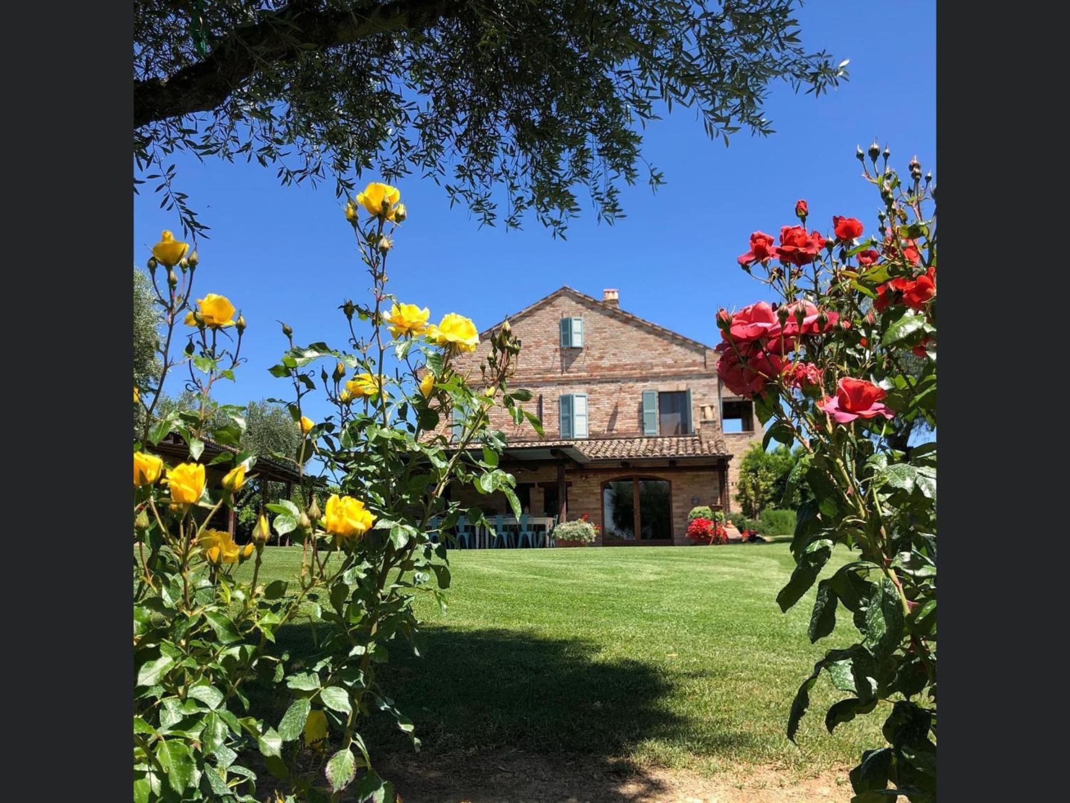 La Villa degli Ulivi view 4