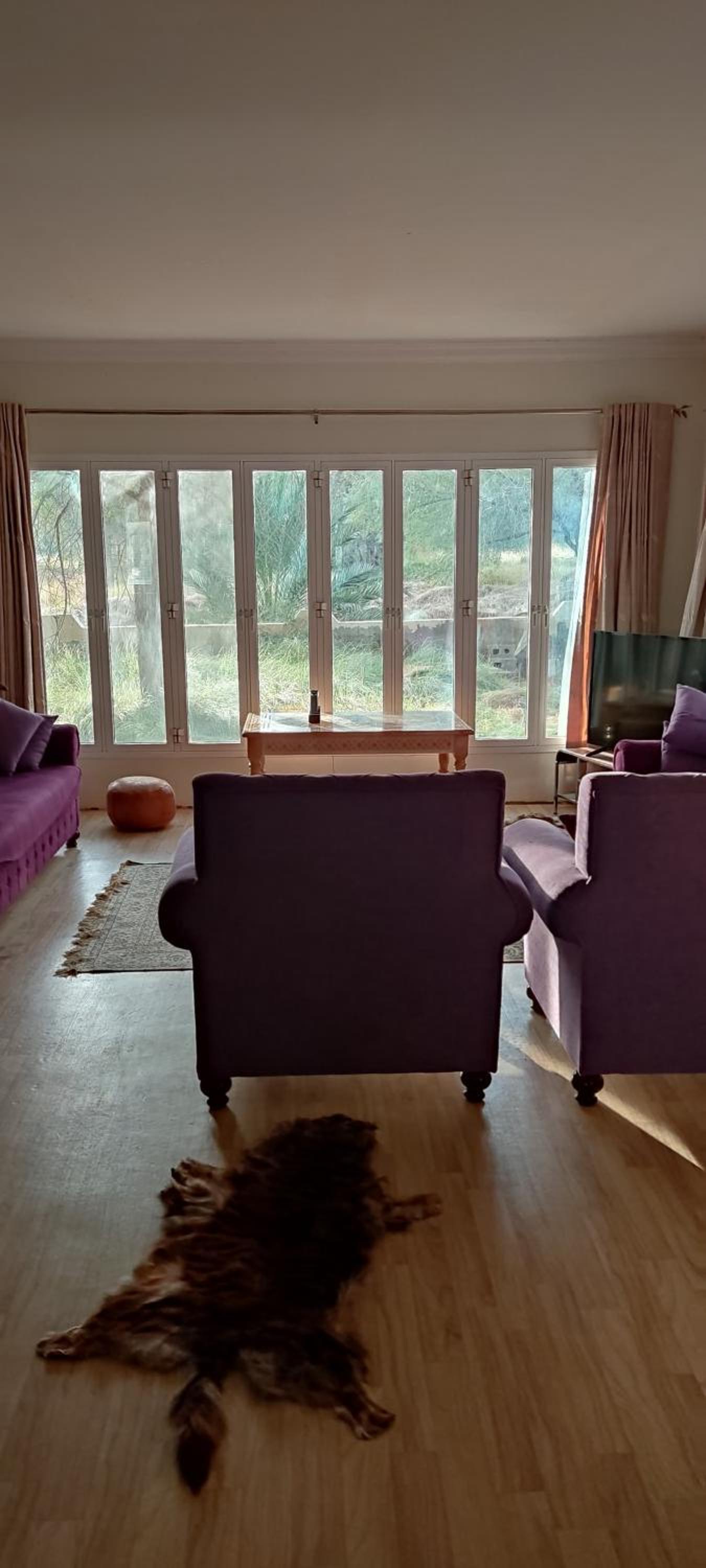 Dar Alslam hostel