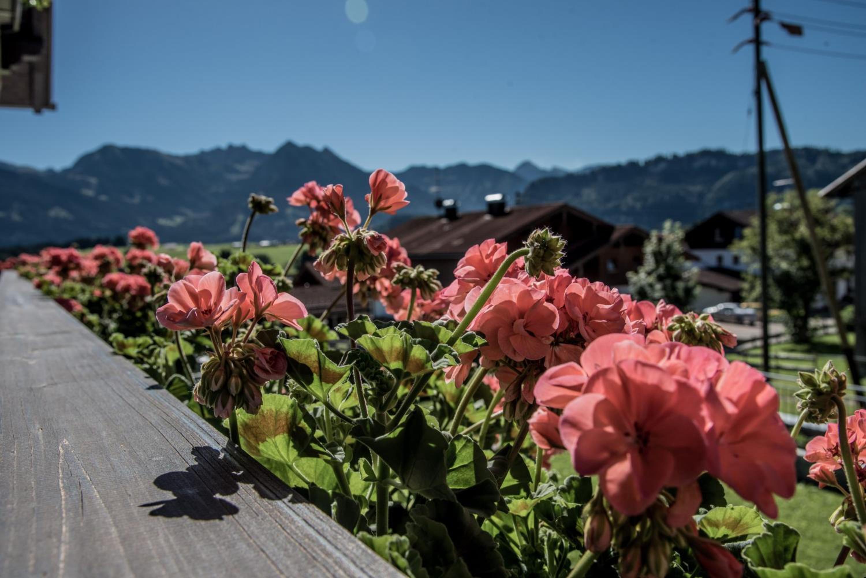 Alpenhaus Steiner - Top-Ferienwohnungen - Sommer-Bergbahn inklusive