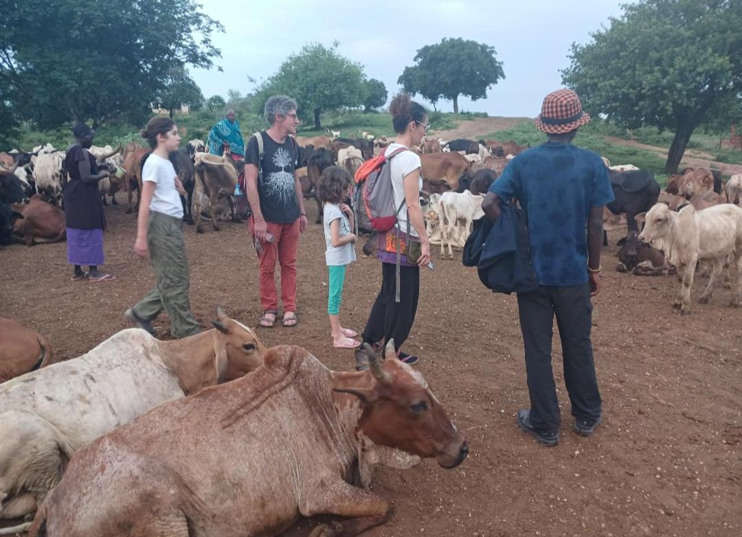 Mombo Maasai Culture Homestay