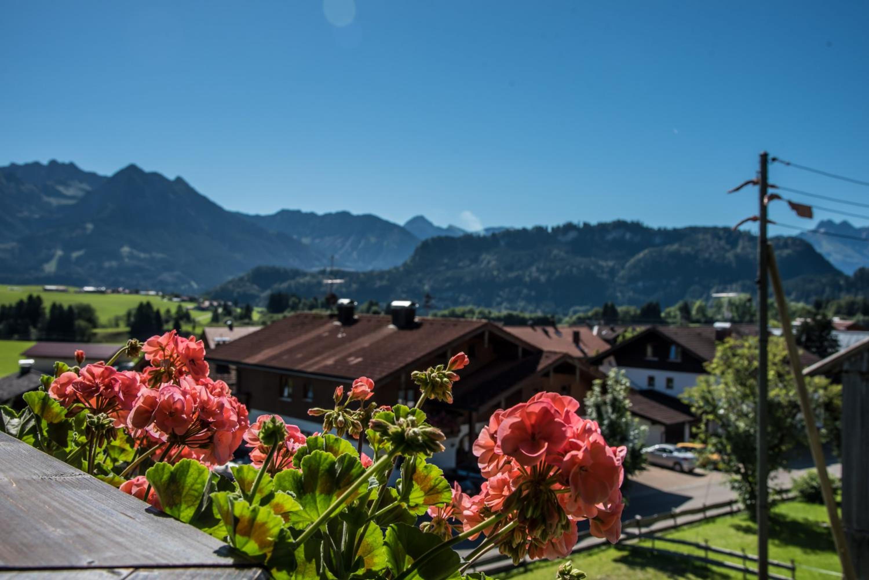 Alpenhaus Steiner - Top-Ferienwohnungen - Sommer-Bergbahn inklusive