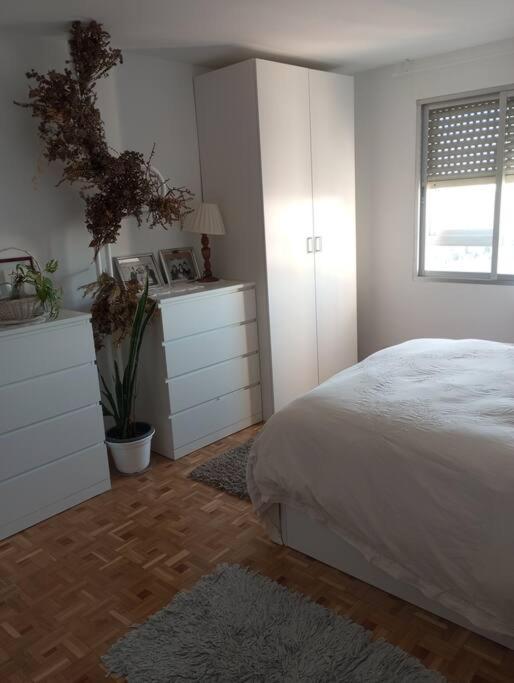 Luxury renovated apartment with terrace in Madrid