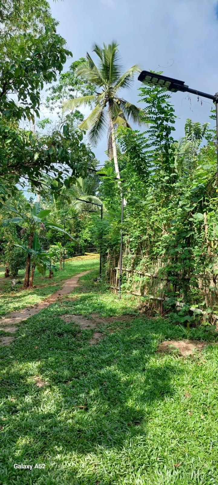 ilukhouse weligama