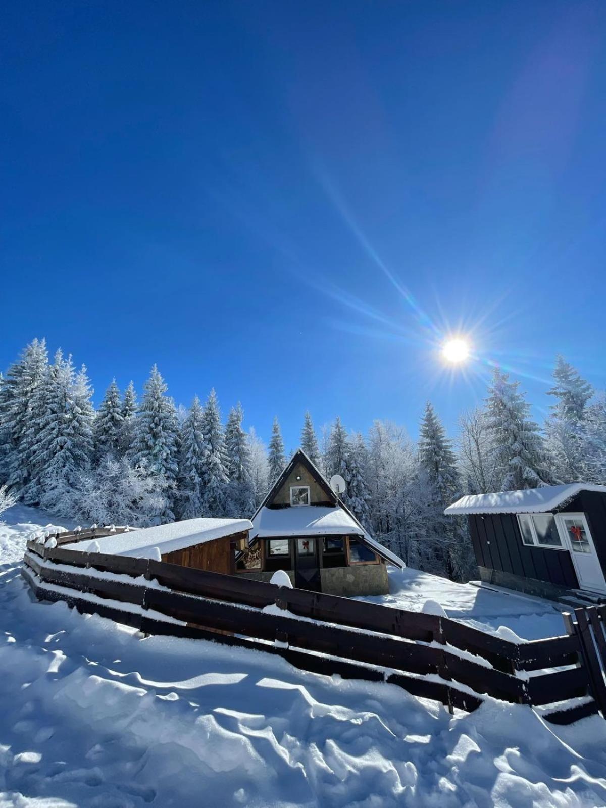 Planinska kuca ANDJELA 1 & sauna view 3
