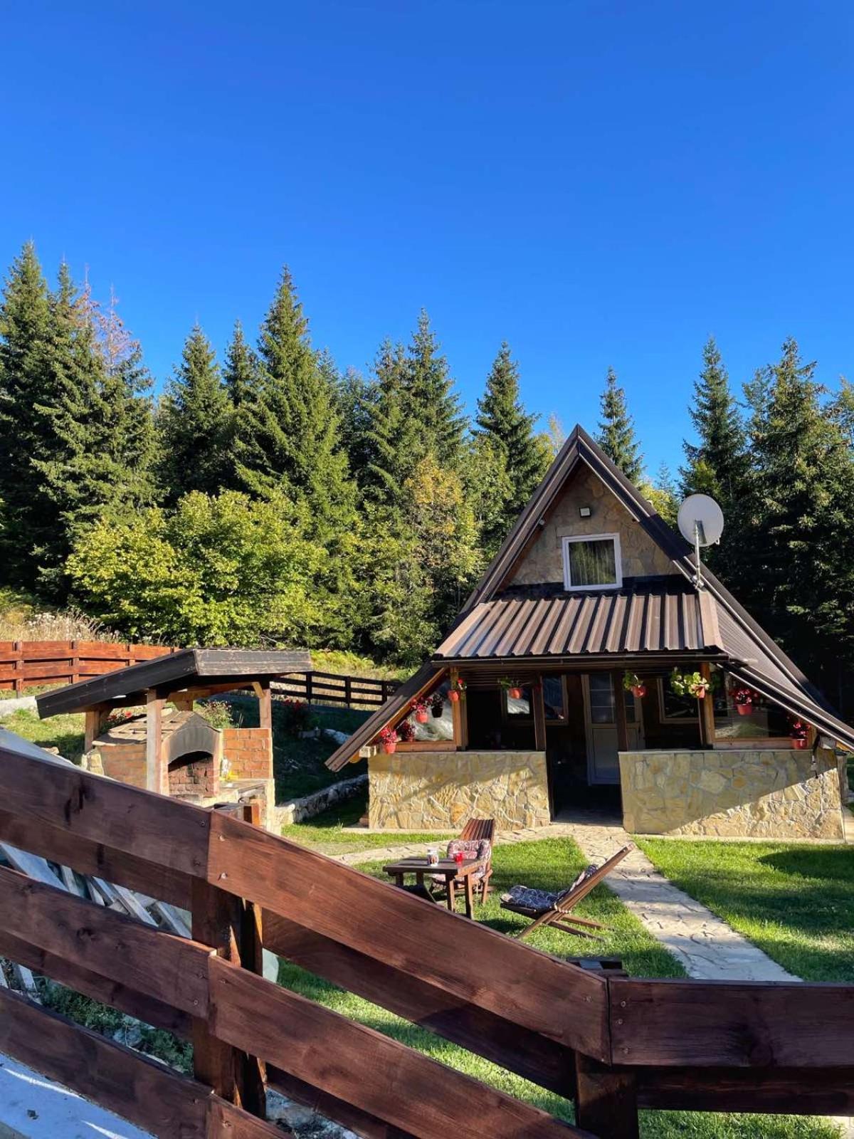 Planinska kuca ANDJELA 1 & sauna view 2