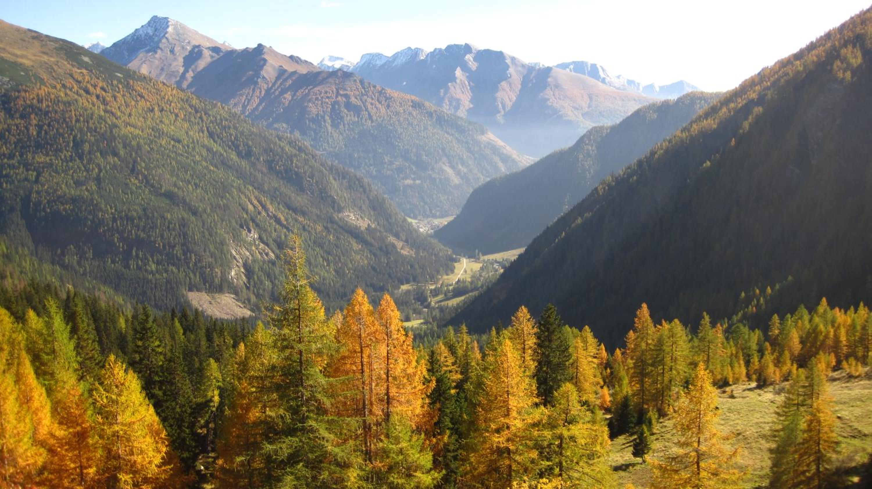 Alpengasthof Gutenbrunn