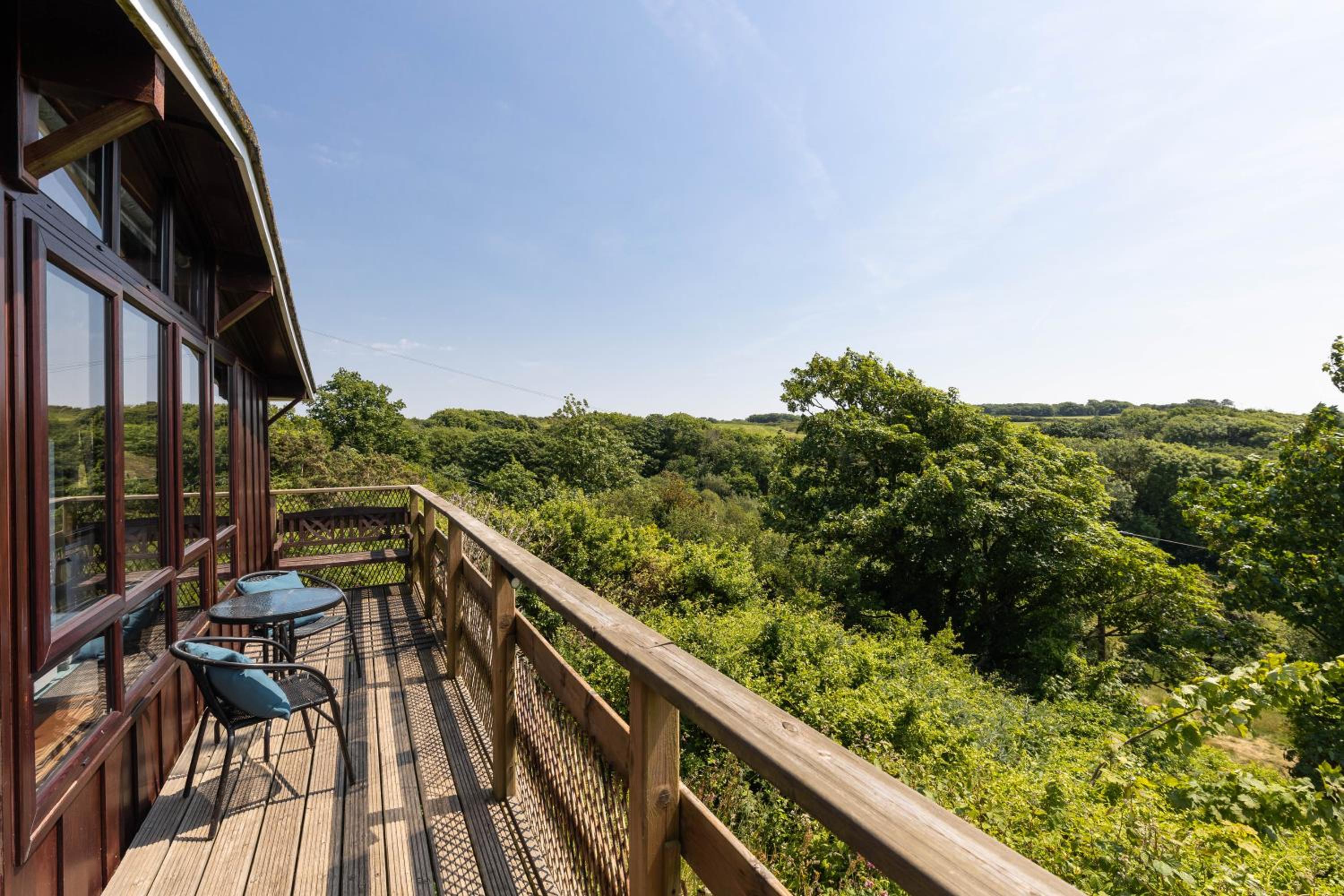 Coastal cabin, spectacular views, doorstep woodland walks, sea 5 mins view 3