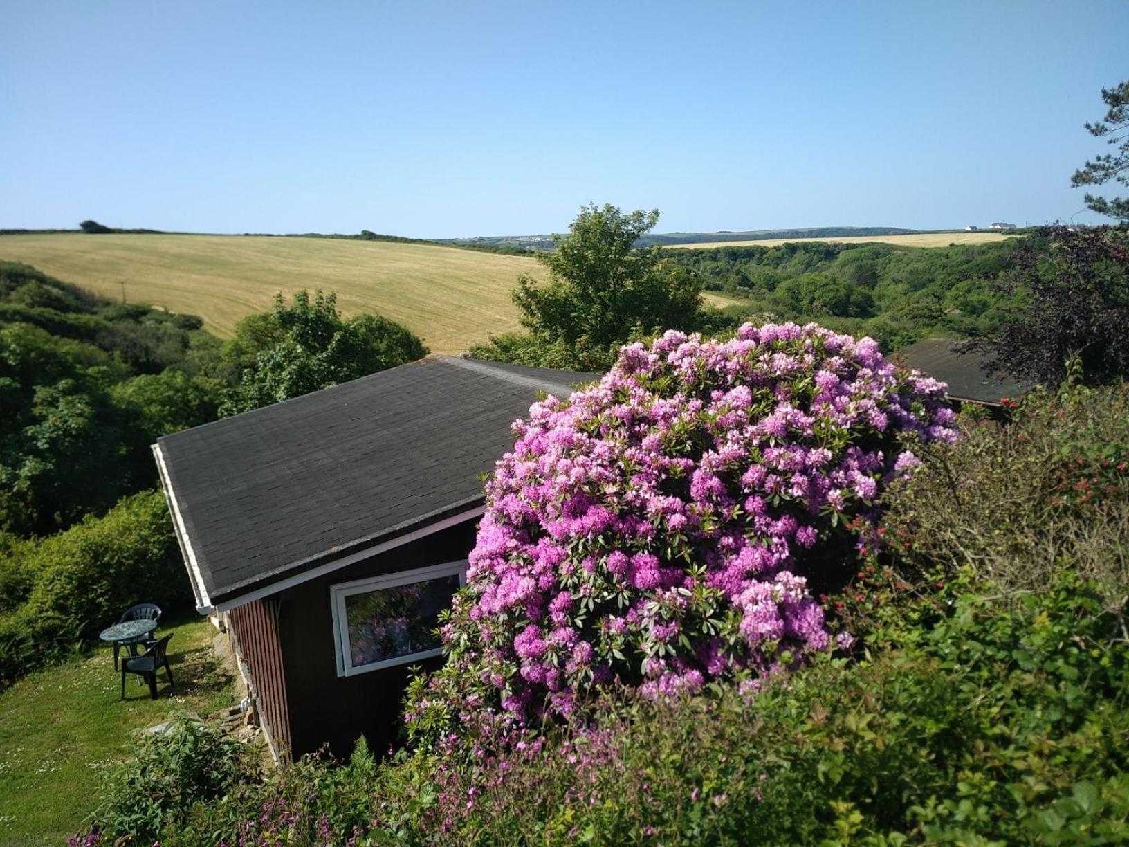 Coastal cabin, spectacular views, doorstep woodland walks, sea 5 mins view 2