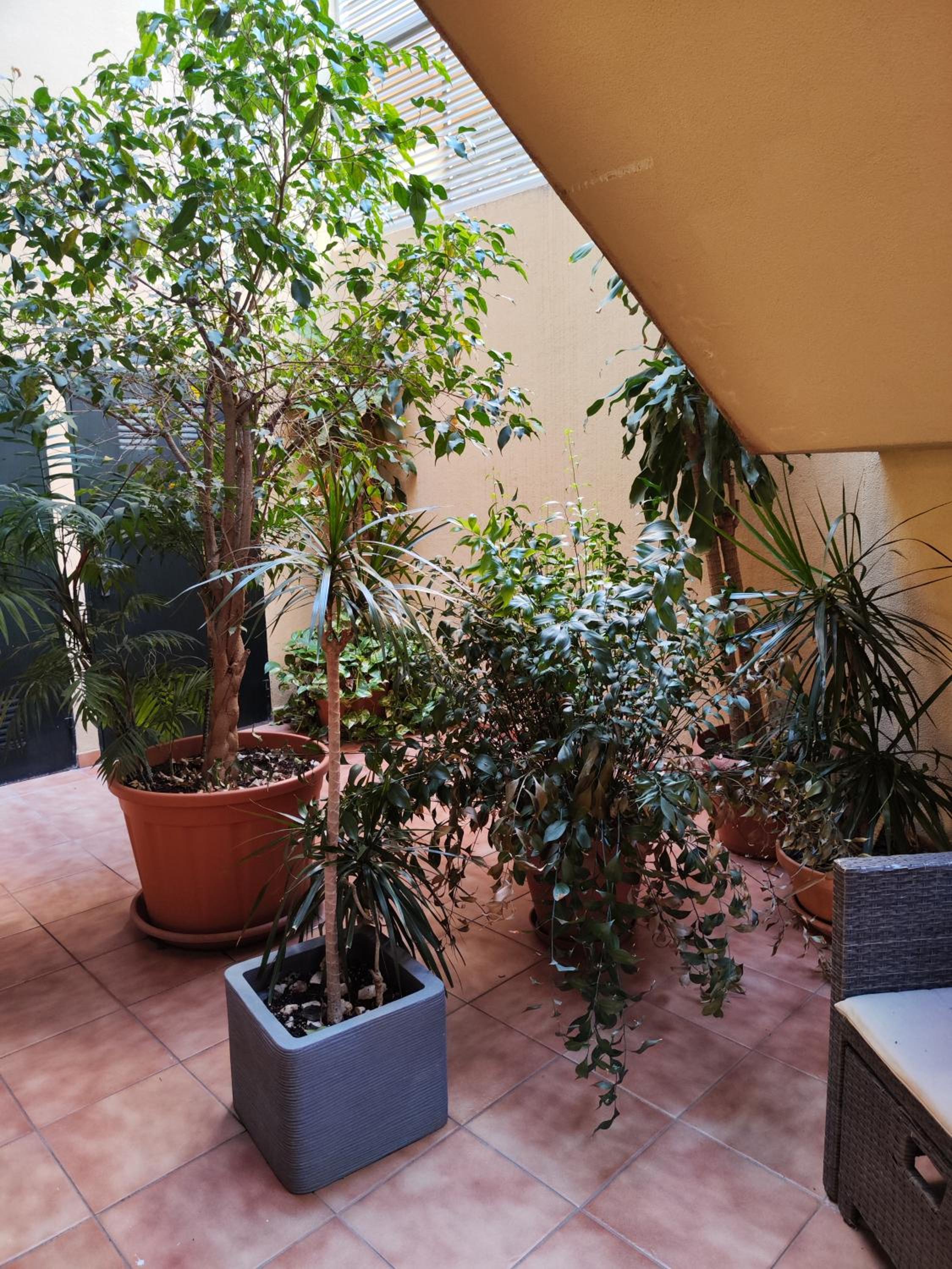 MALAGA EXPERIENCE