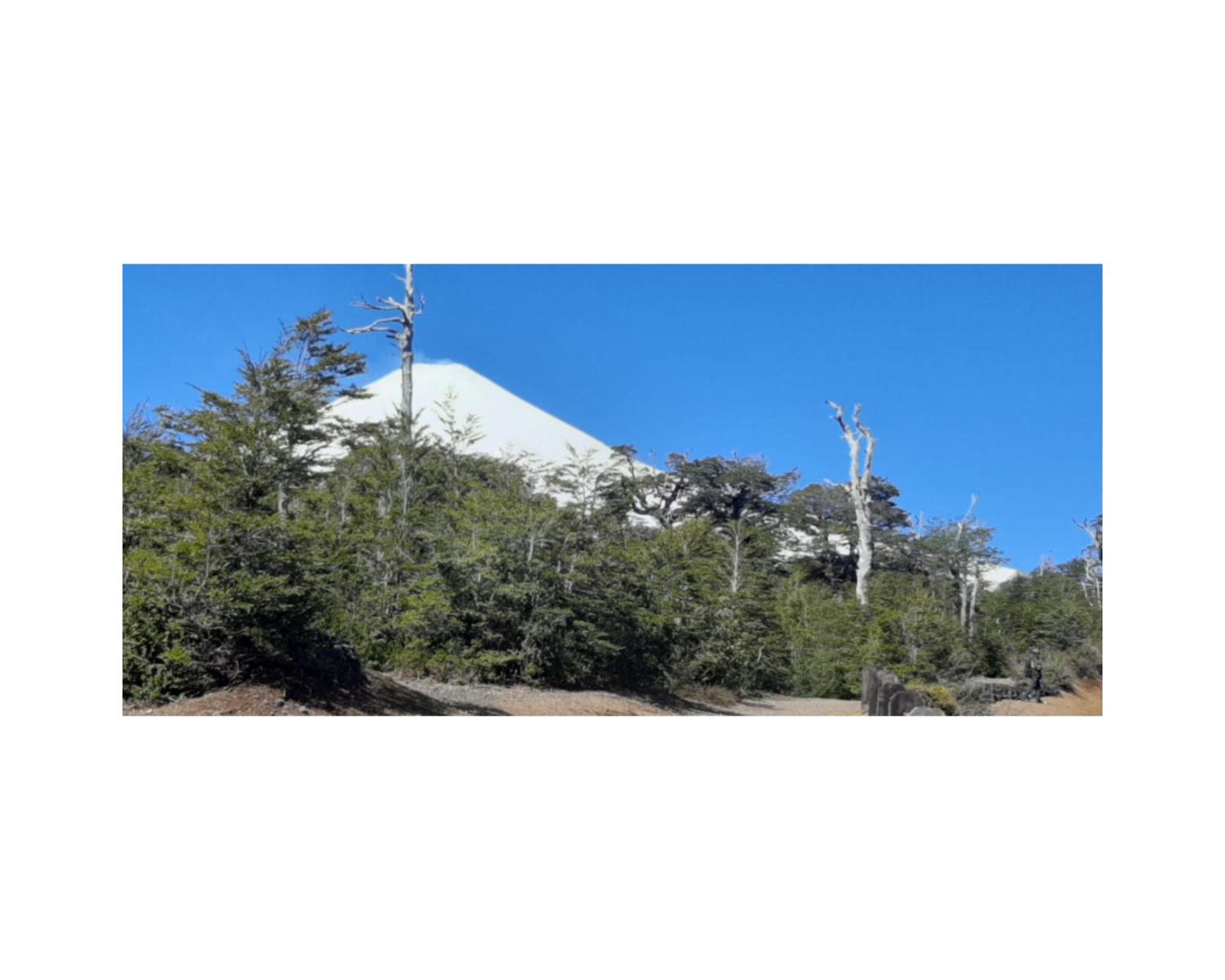 ENTRE PINOS Y LUCEROS ACOGEDORA CABAÑA RÚSTICA