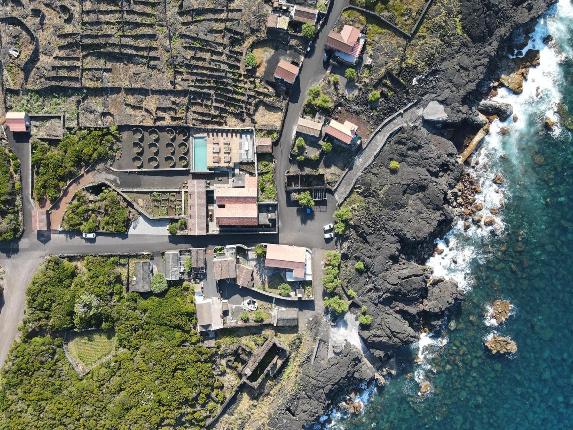 Adega do Fogo