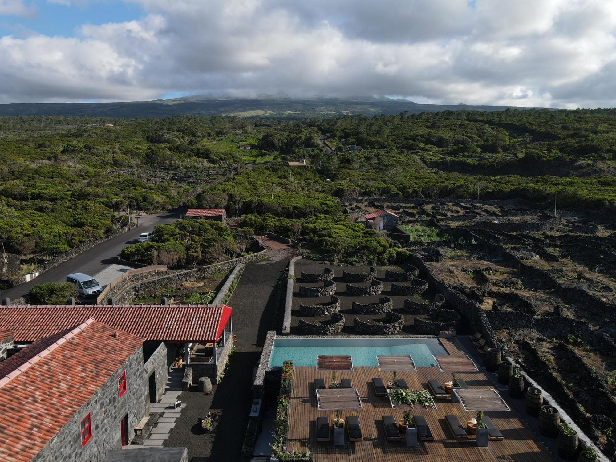 Adega do Fogo