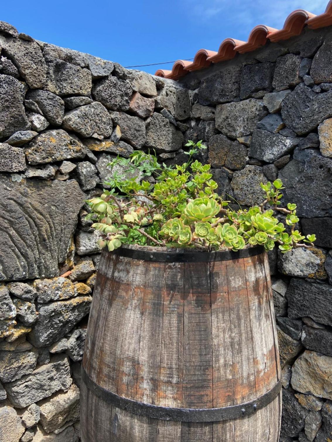 Adega do Fogo