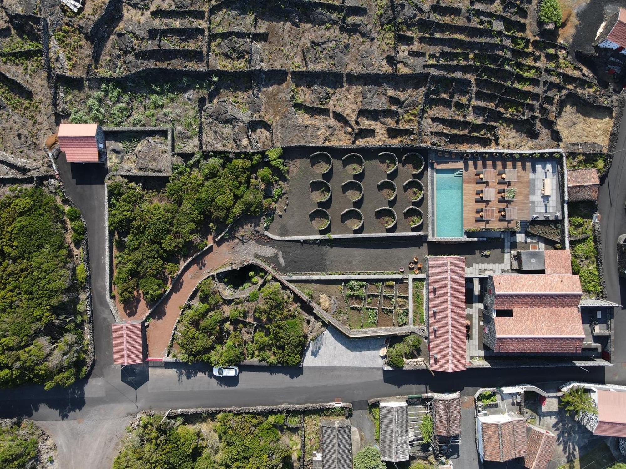 Adega do Fogo
