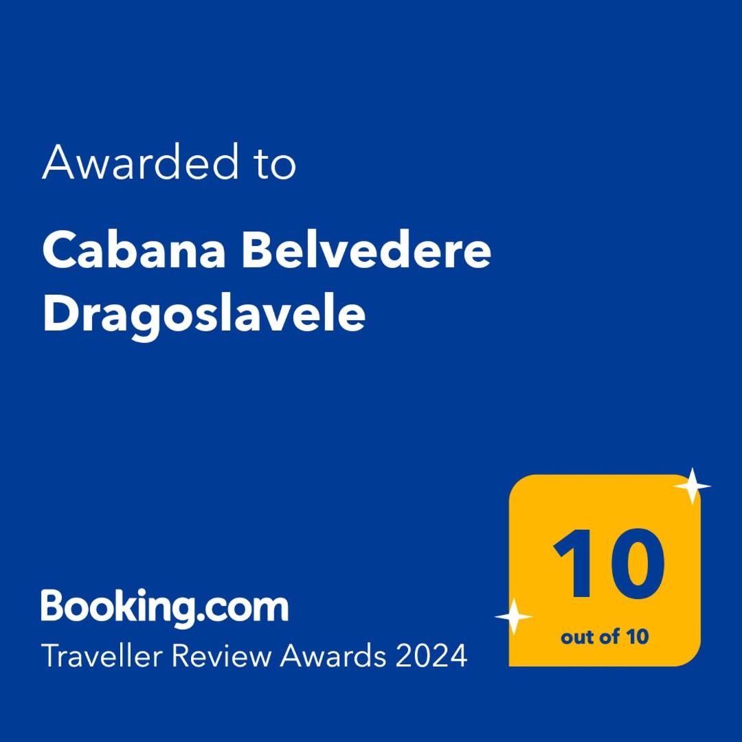 Cabana Belvedere Dragoslavele view 3