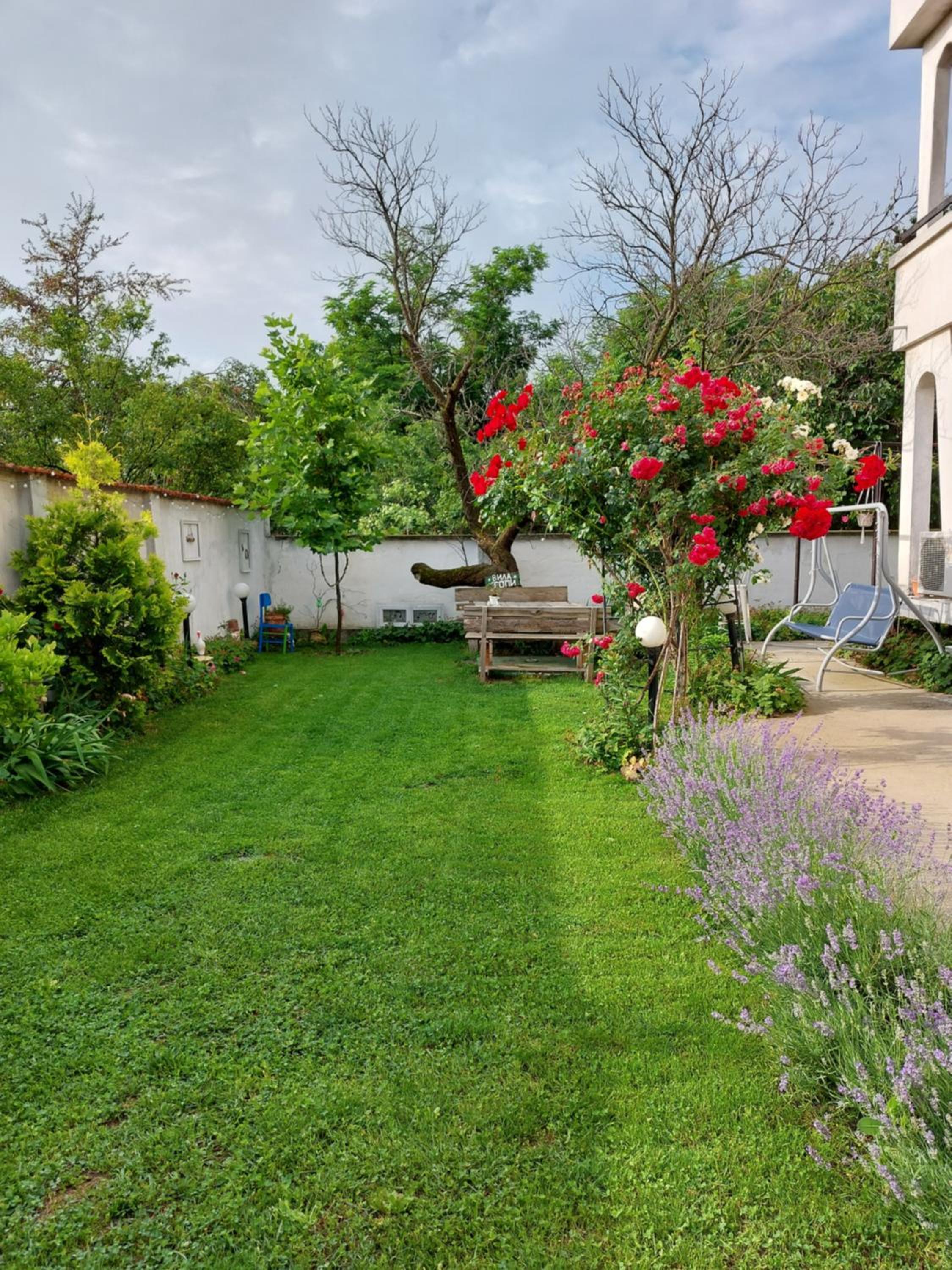 Photo 48