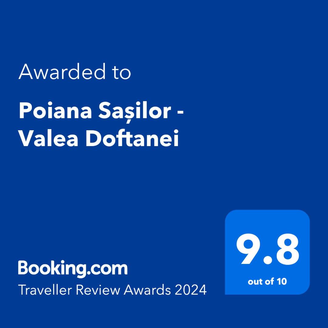 Poiana Sașilor - Valea Doftanei view 3