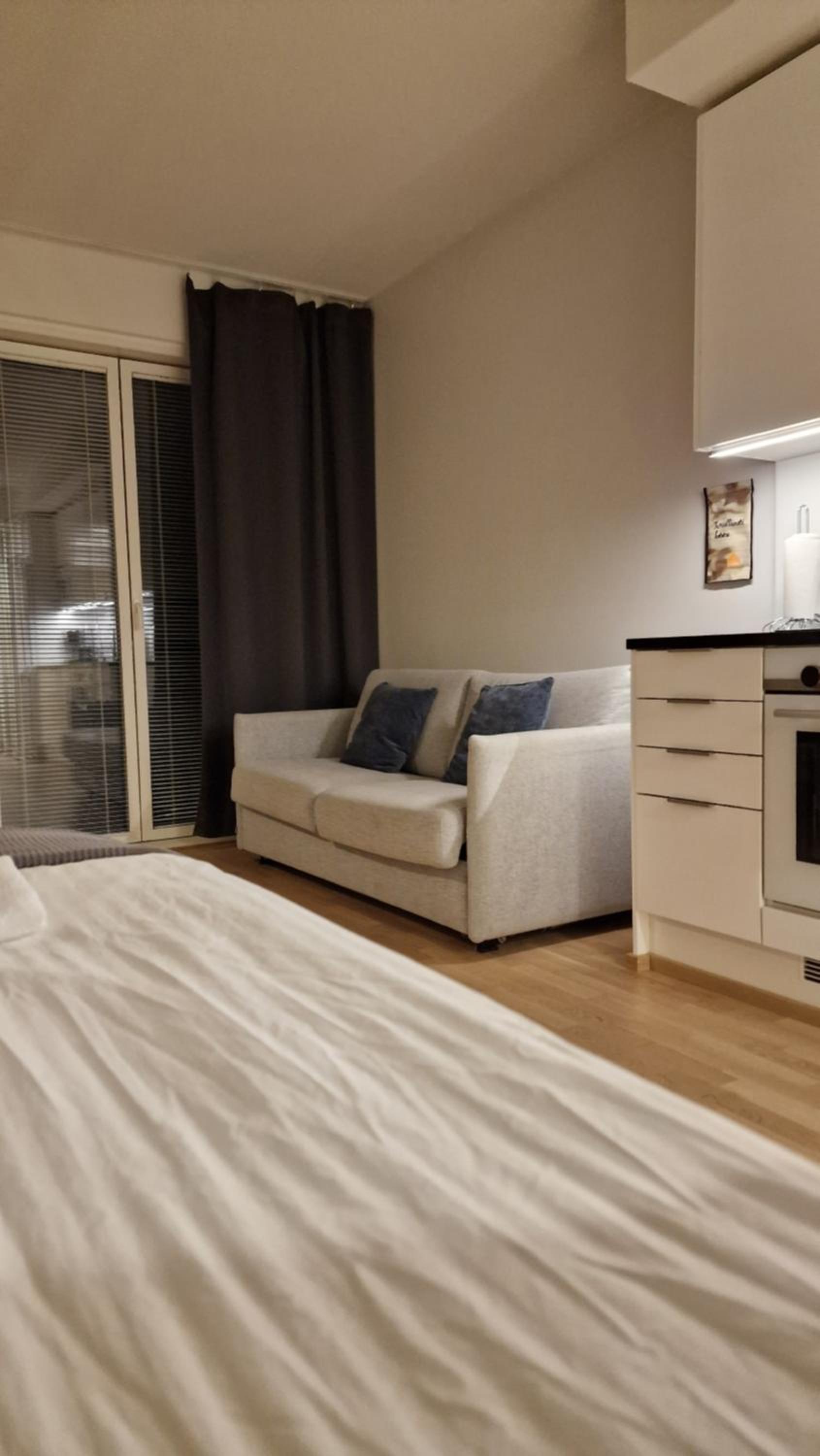 Cozy Apartment near Aura river
