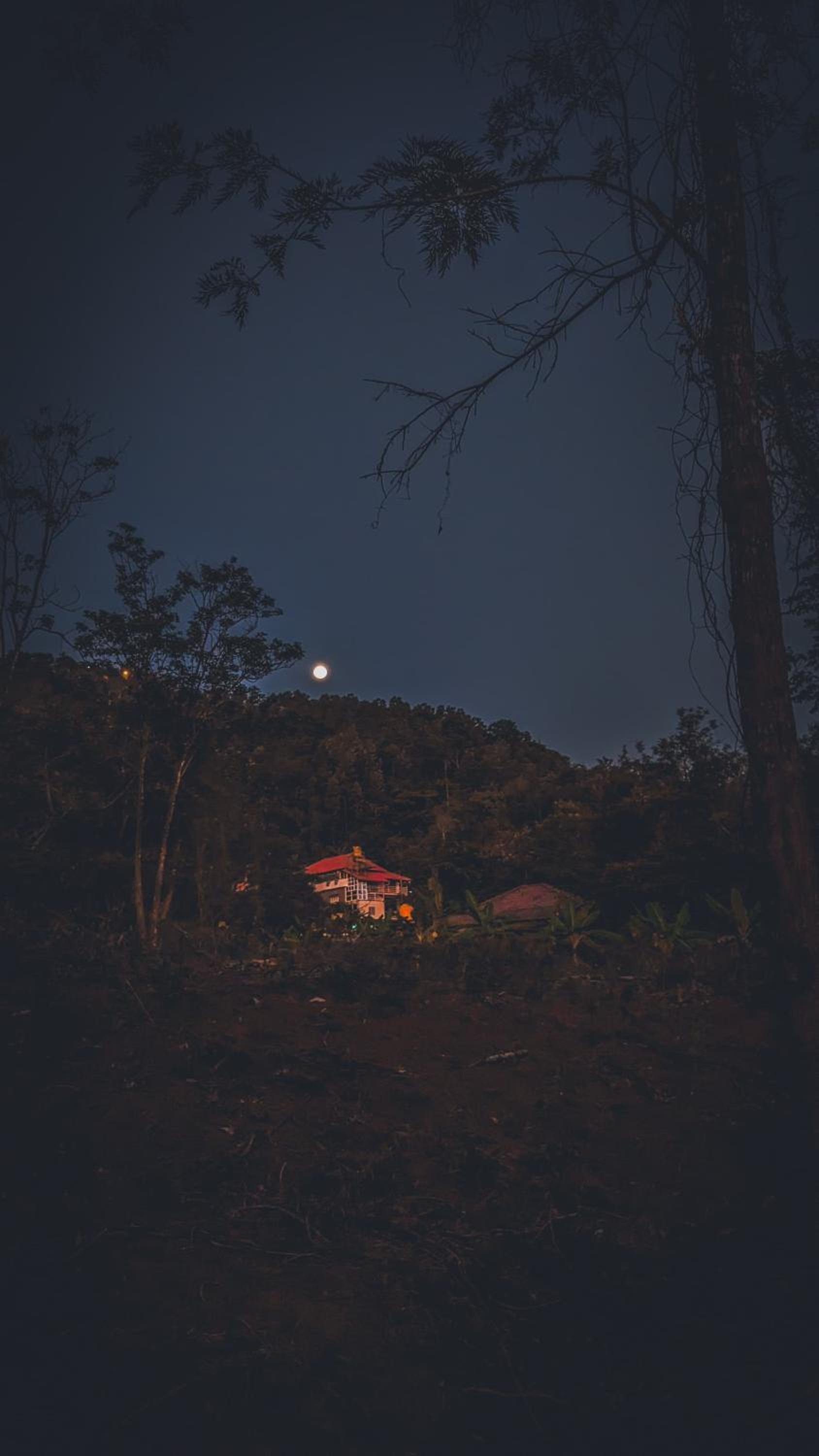 Odyssey Stays Thalathmane, Coorg
