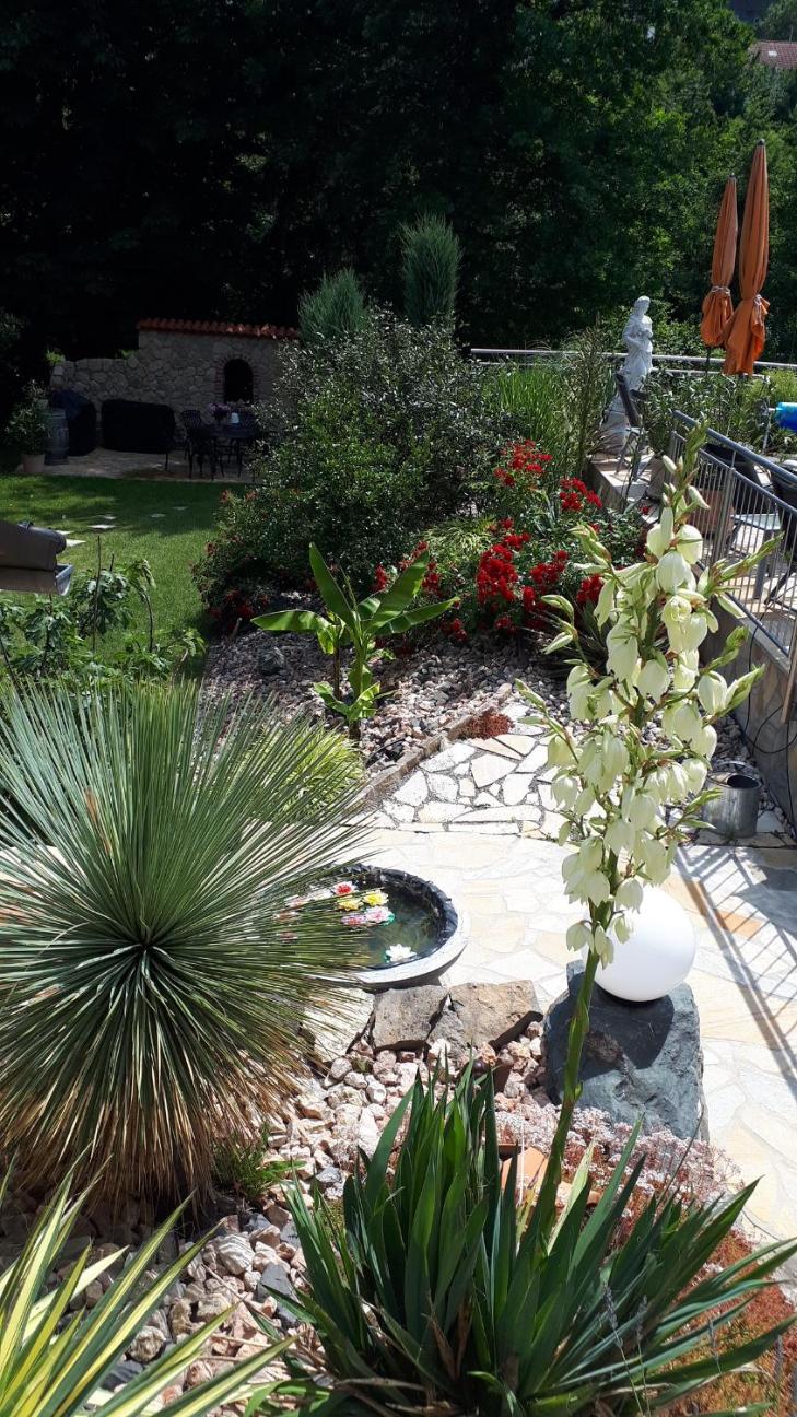 Pension am Weinberg Bed & Breakfast