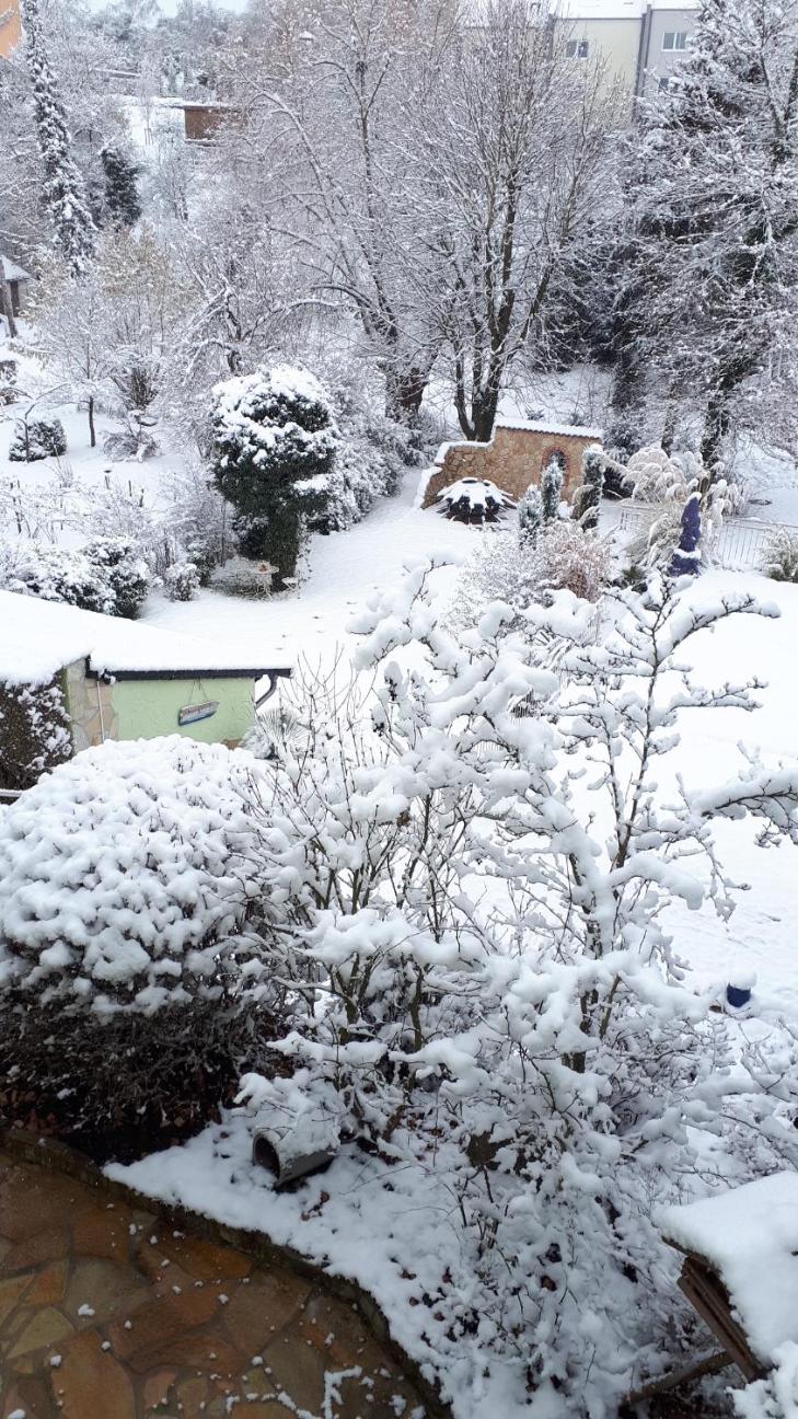 Pension am Weinberg Bed & Breakfast