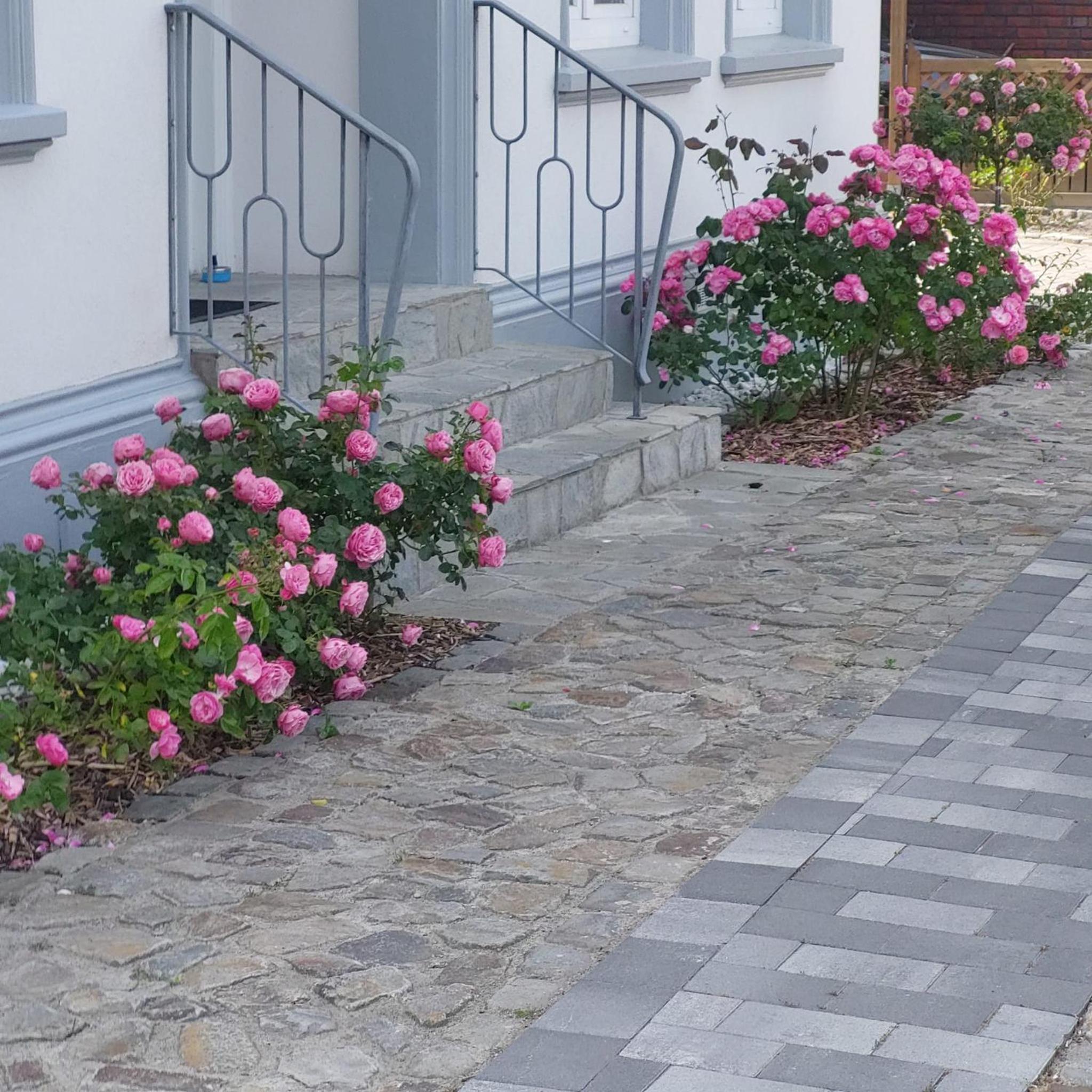 Privatunterkunft im Erdgeschoss