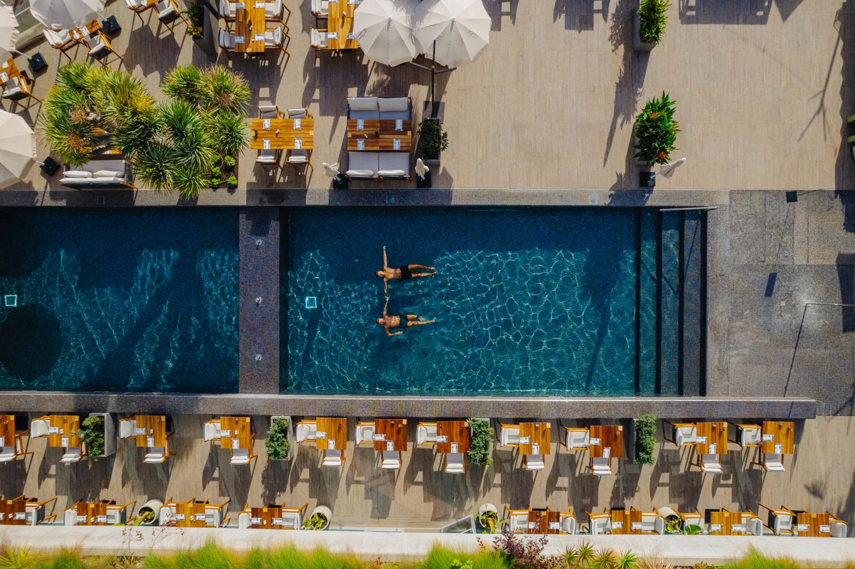 Saccharum Resort 46