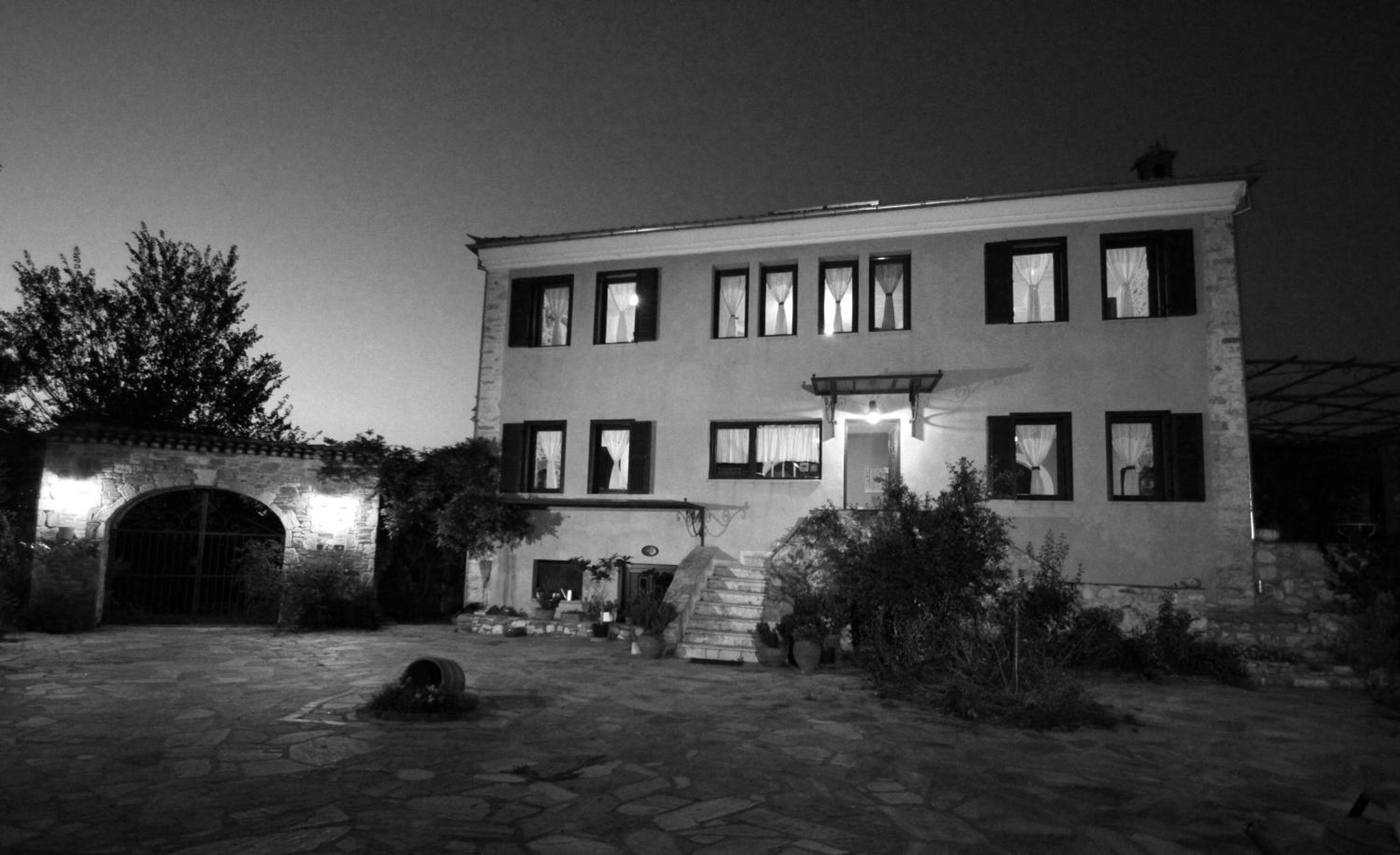 Photo 11