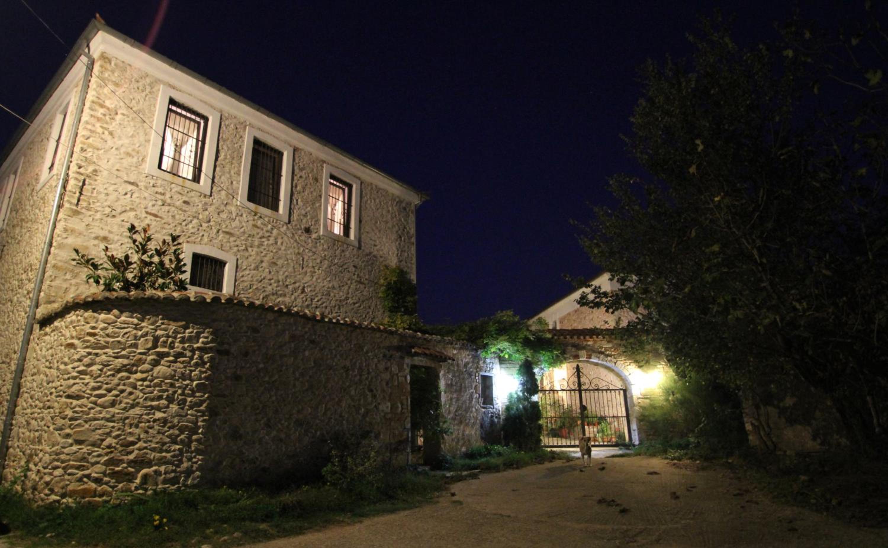 Photo 43