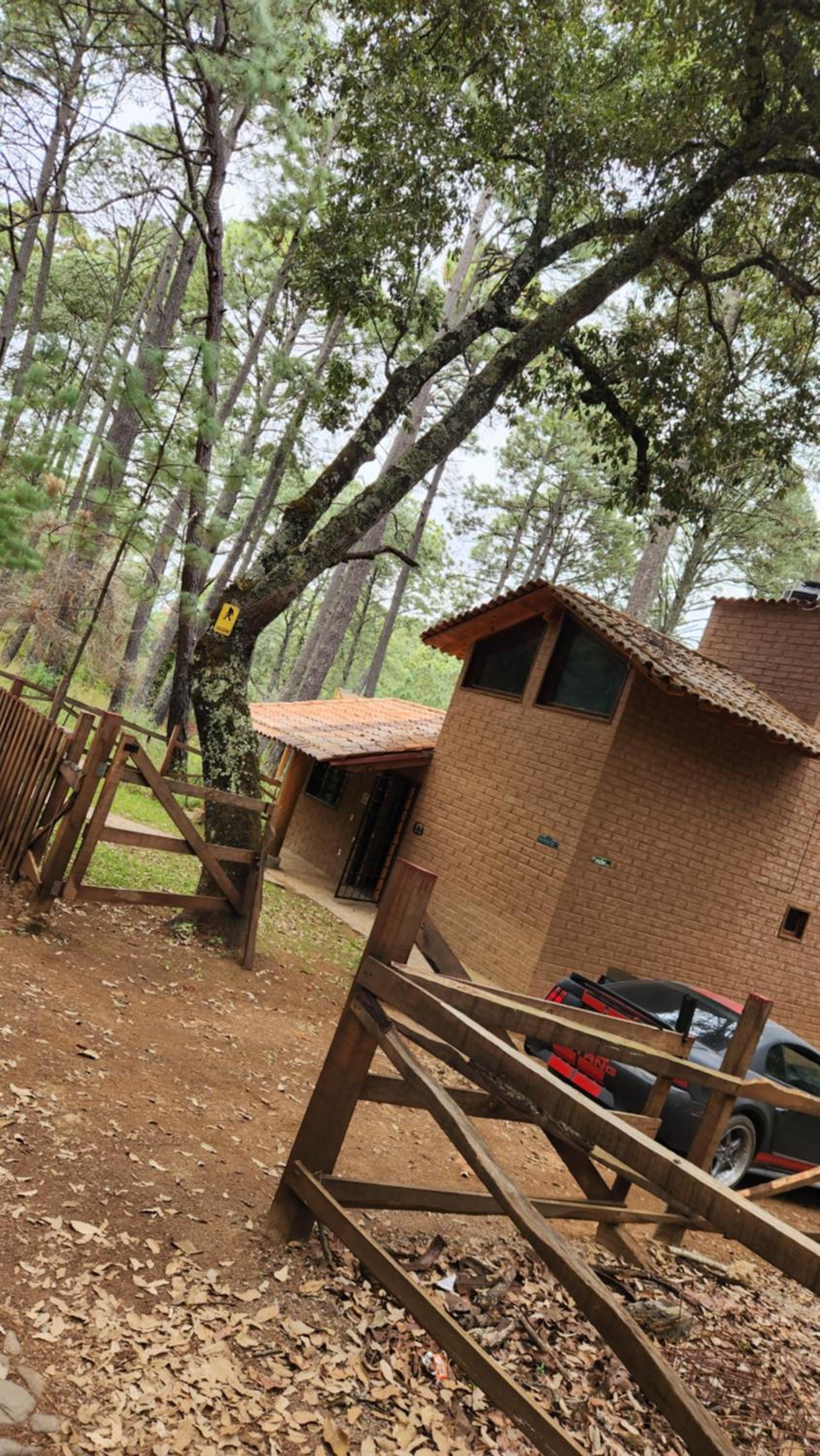 Cabaña Sasquatch
