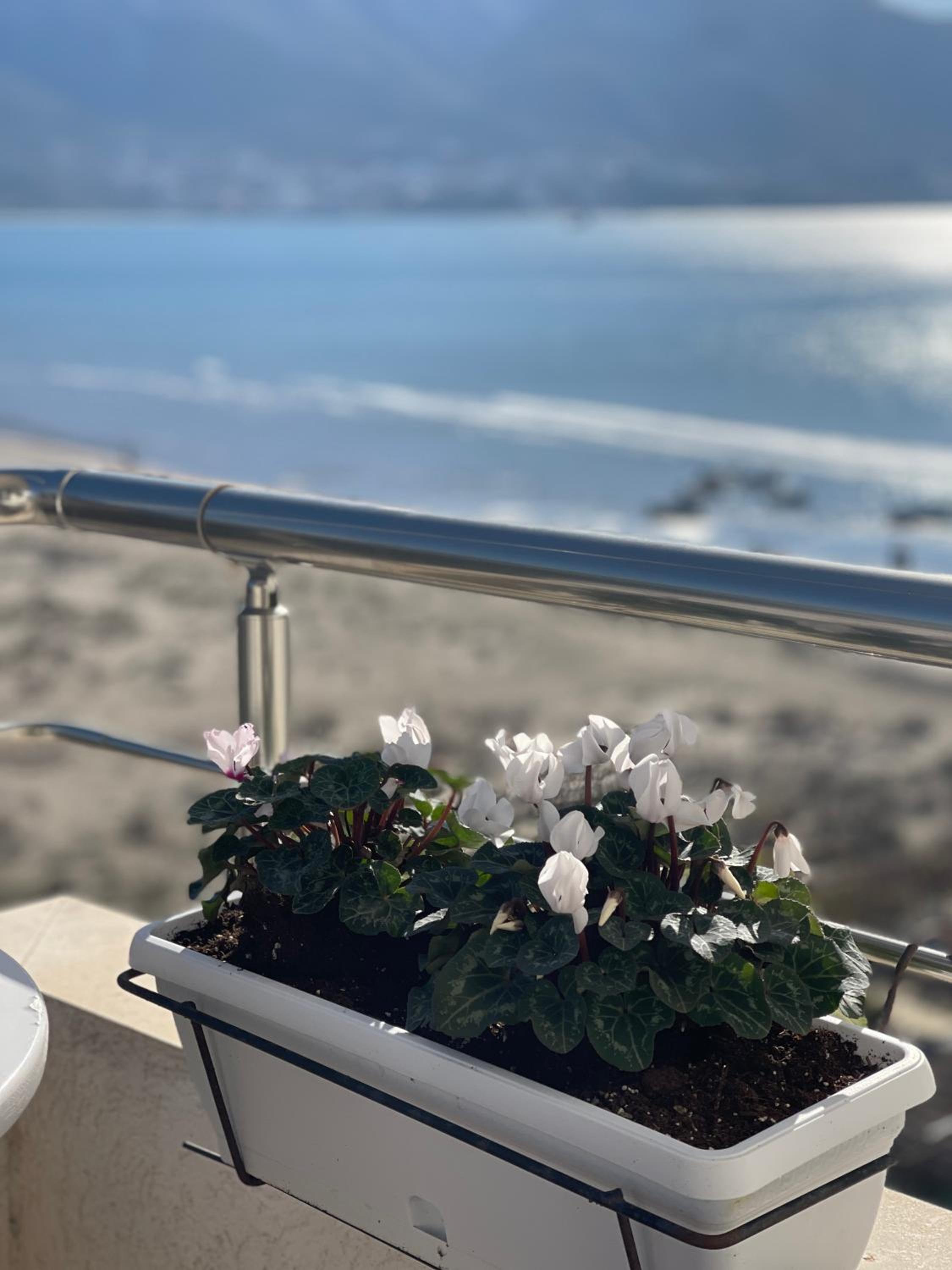 SeaView Apartments Rental Vlore