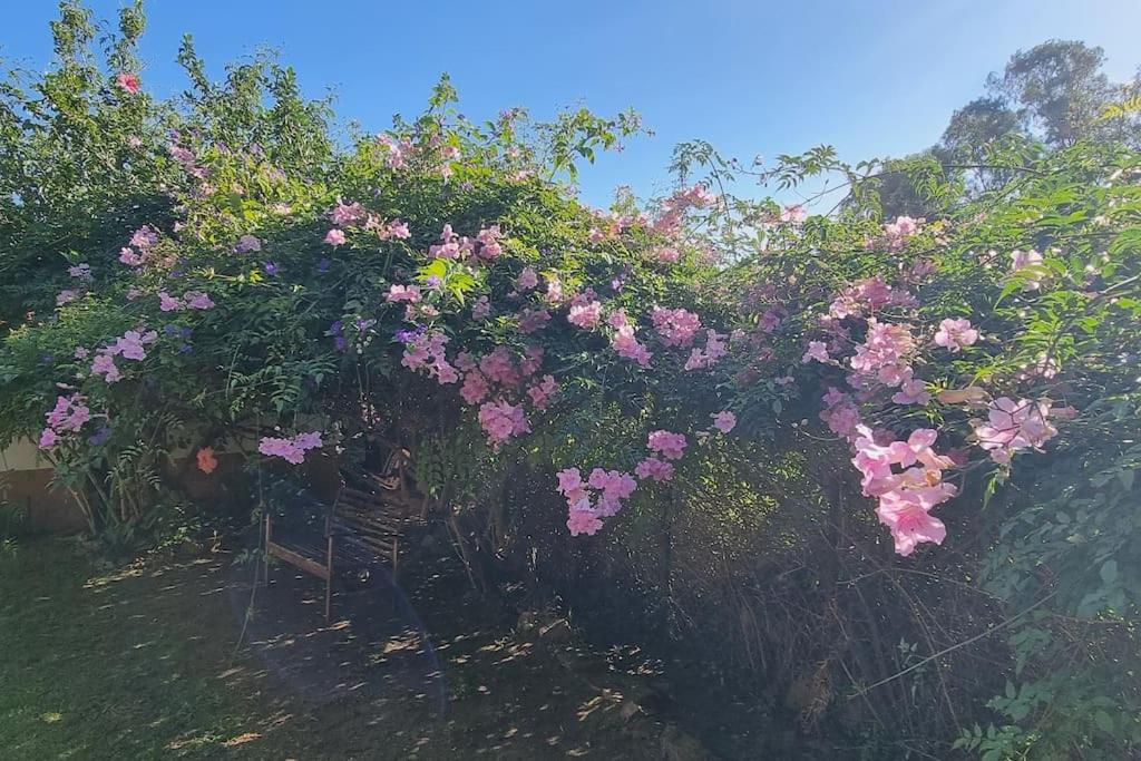 Bonita casa rural con jardín y terraza privado