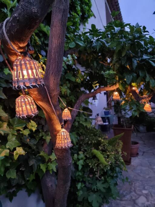 Bonita casa rural con jardín y terraza privado