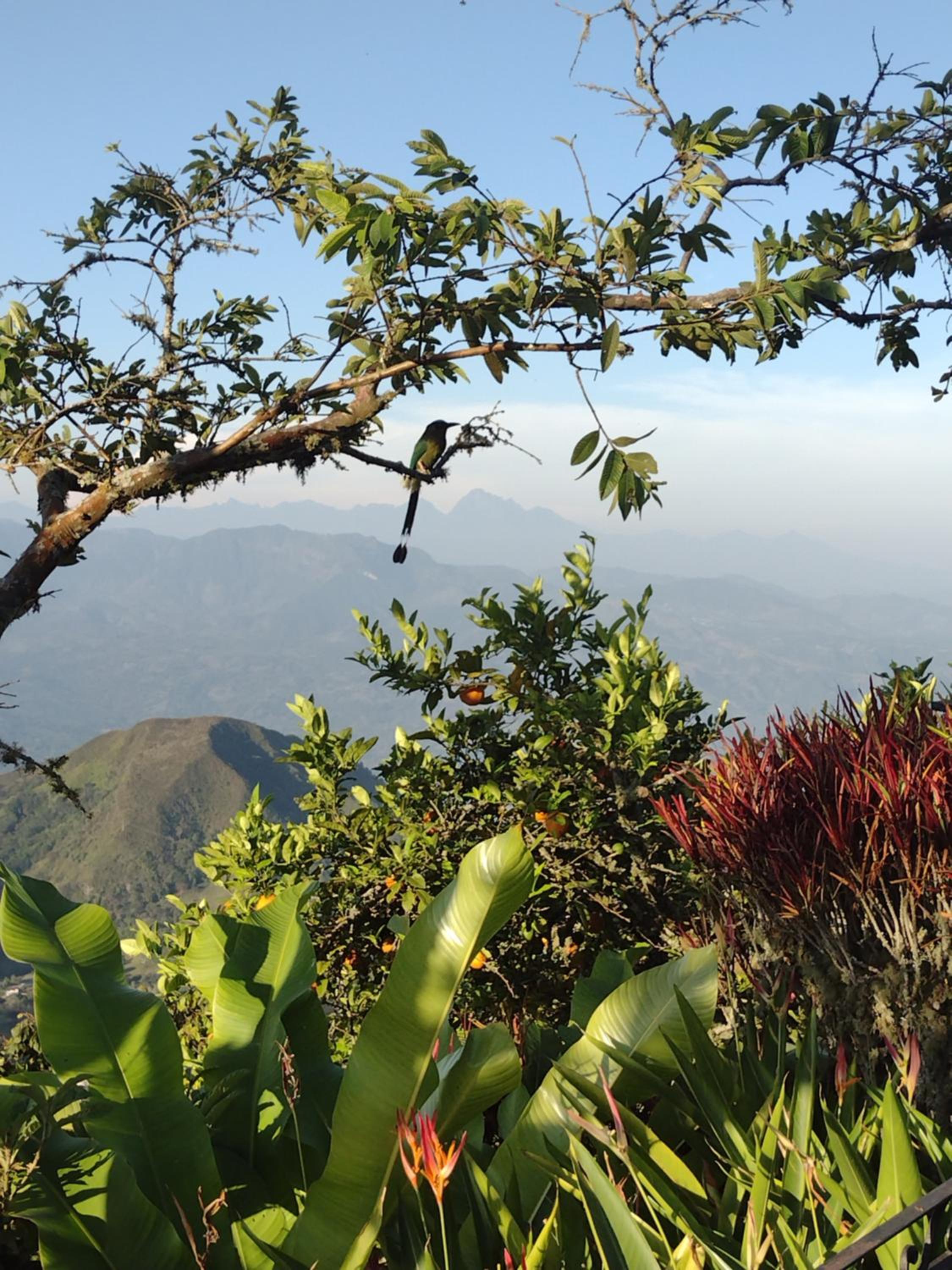 Finca Emilio