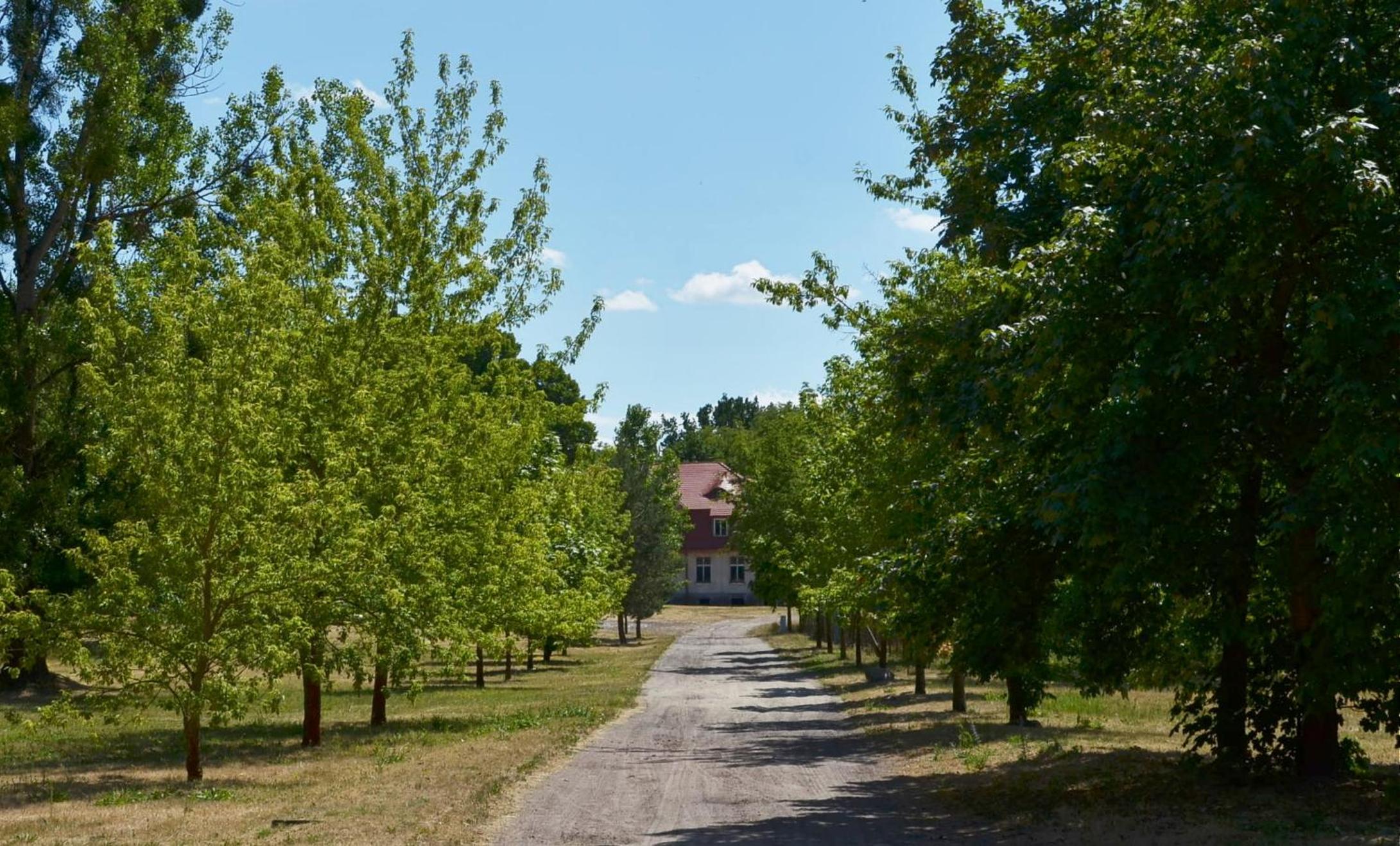 Gospodarstwo nad jeziorem