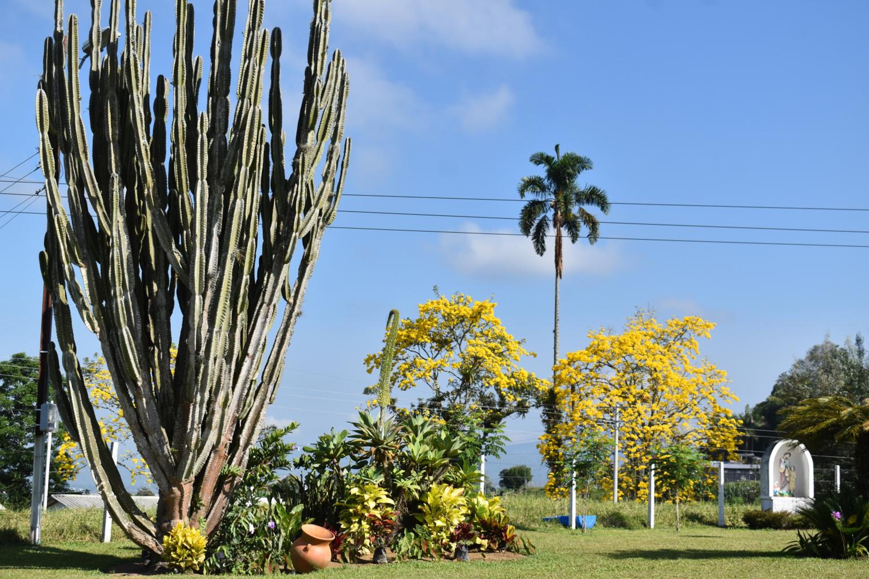Finca Mirador El Encanto
