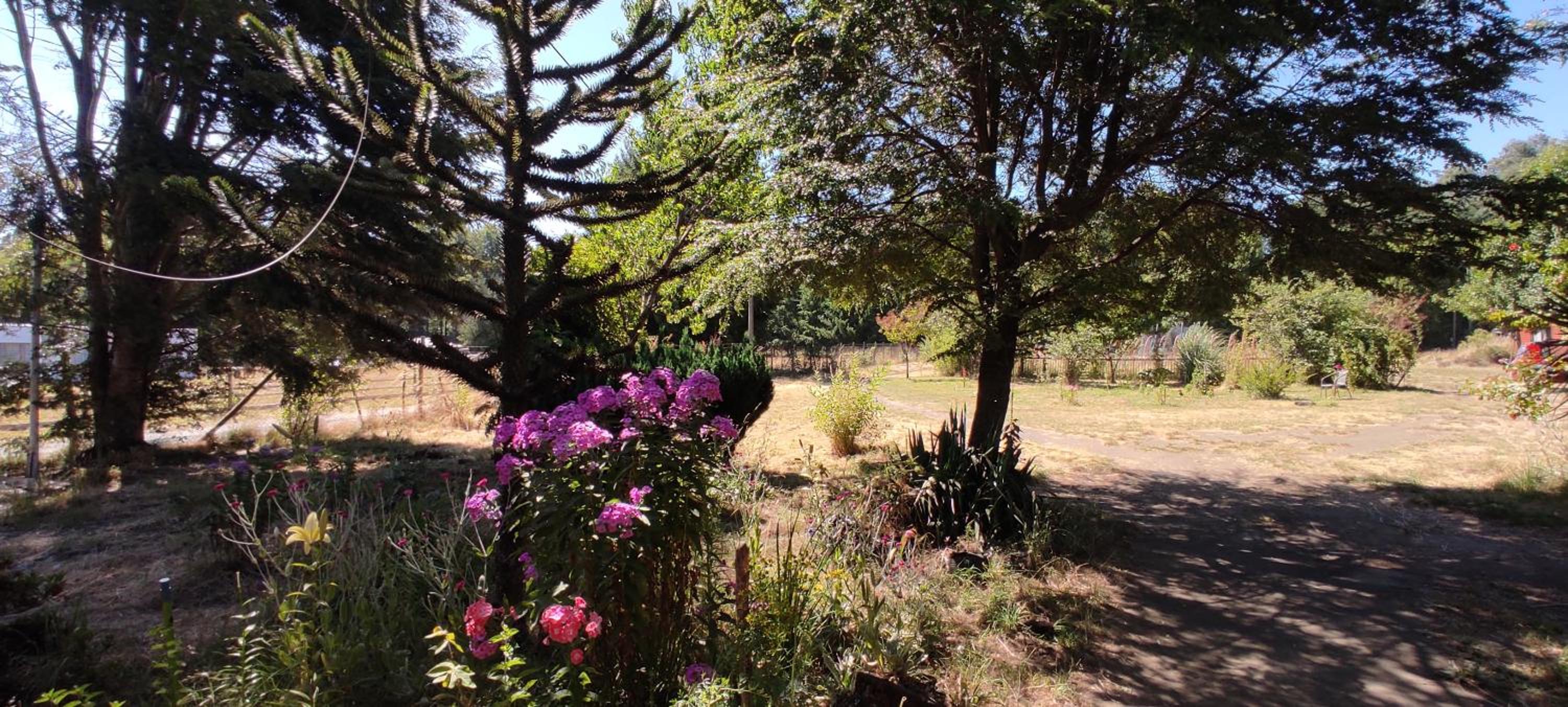 Hermosa casa, full naturaleza a minutos de Villarrica