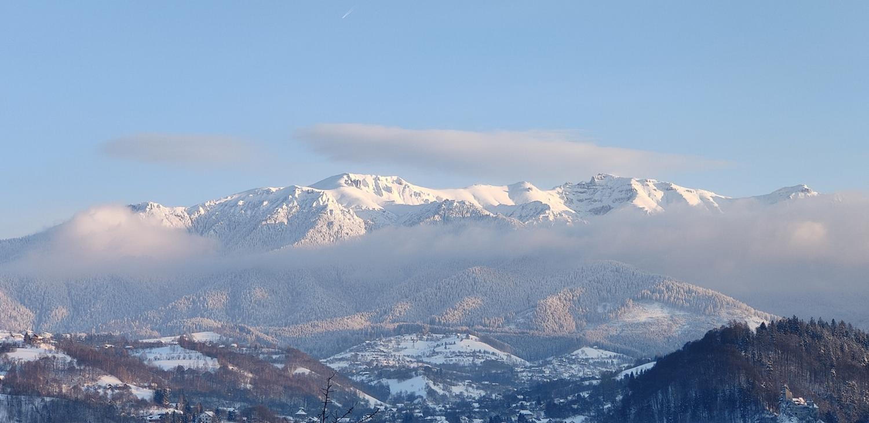 Casa Ciubărului Bran