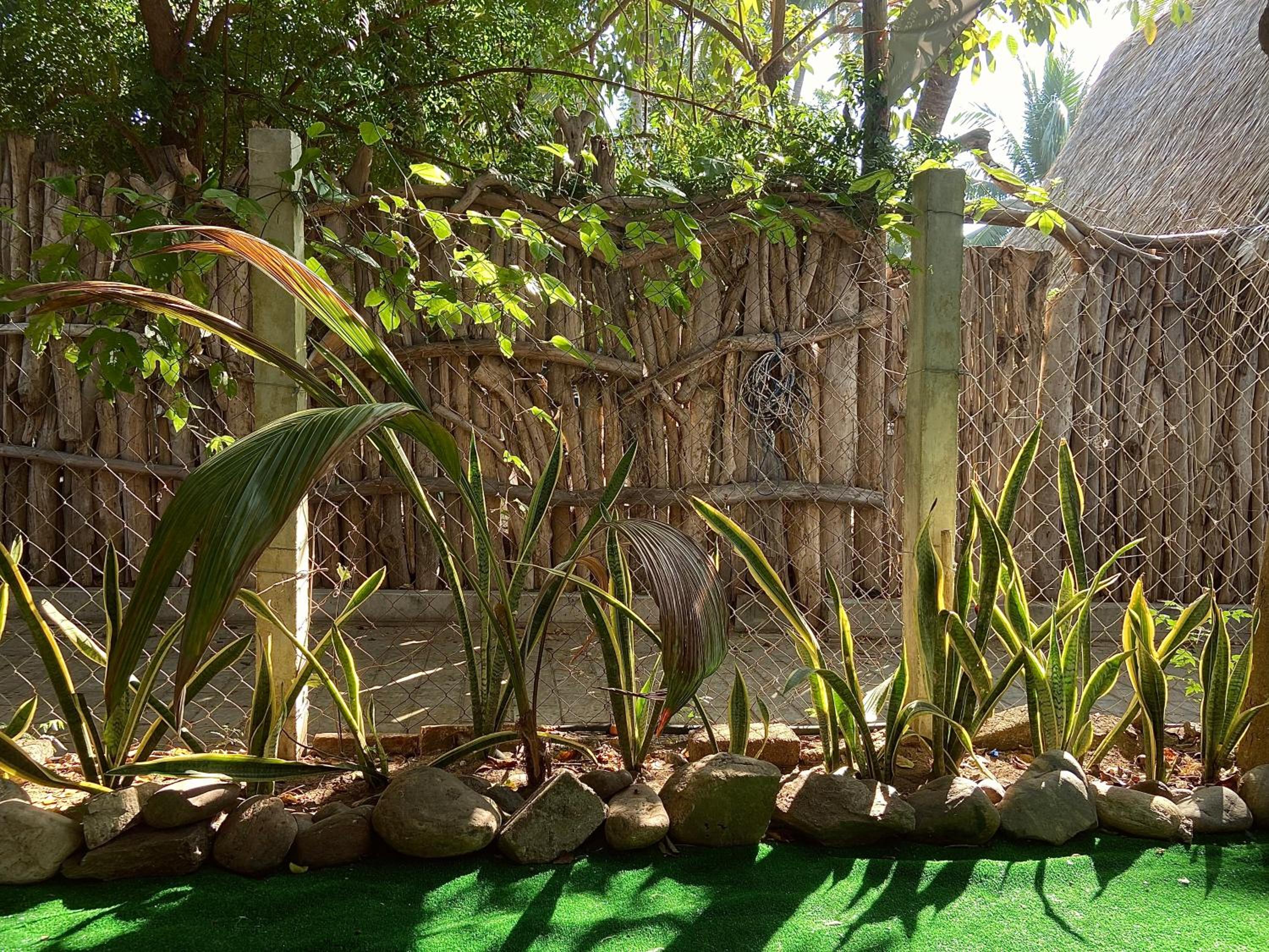Maracuyá Zipolite Hostel & Gym , Fast Wifi , Yoga Platform view 5