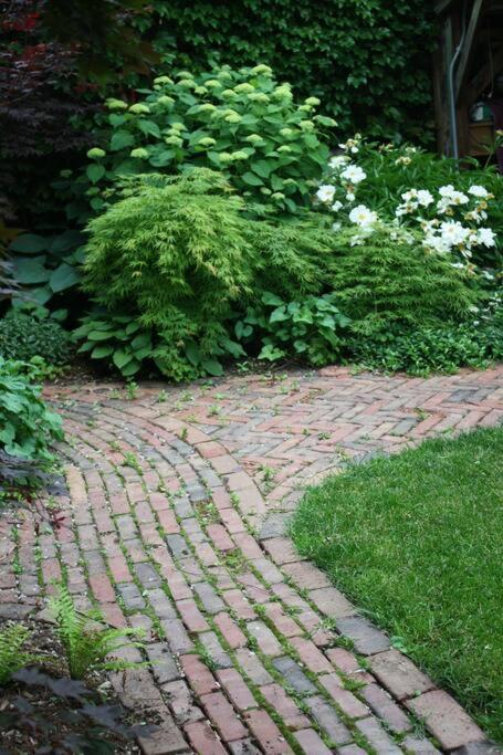 Photo 8